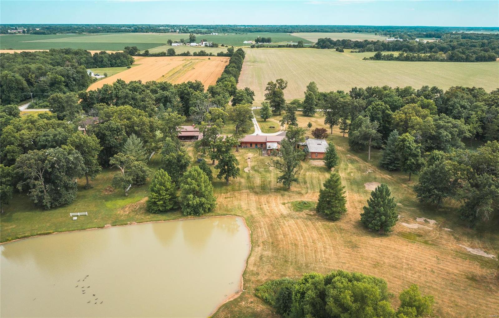 34622 Gun Club Road Brighton, IL 62012 - Photo 8 of 46
