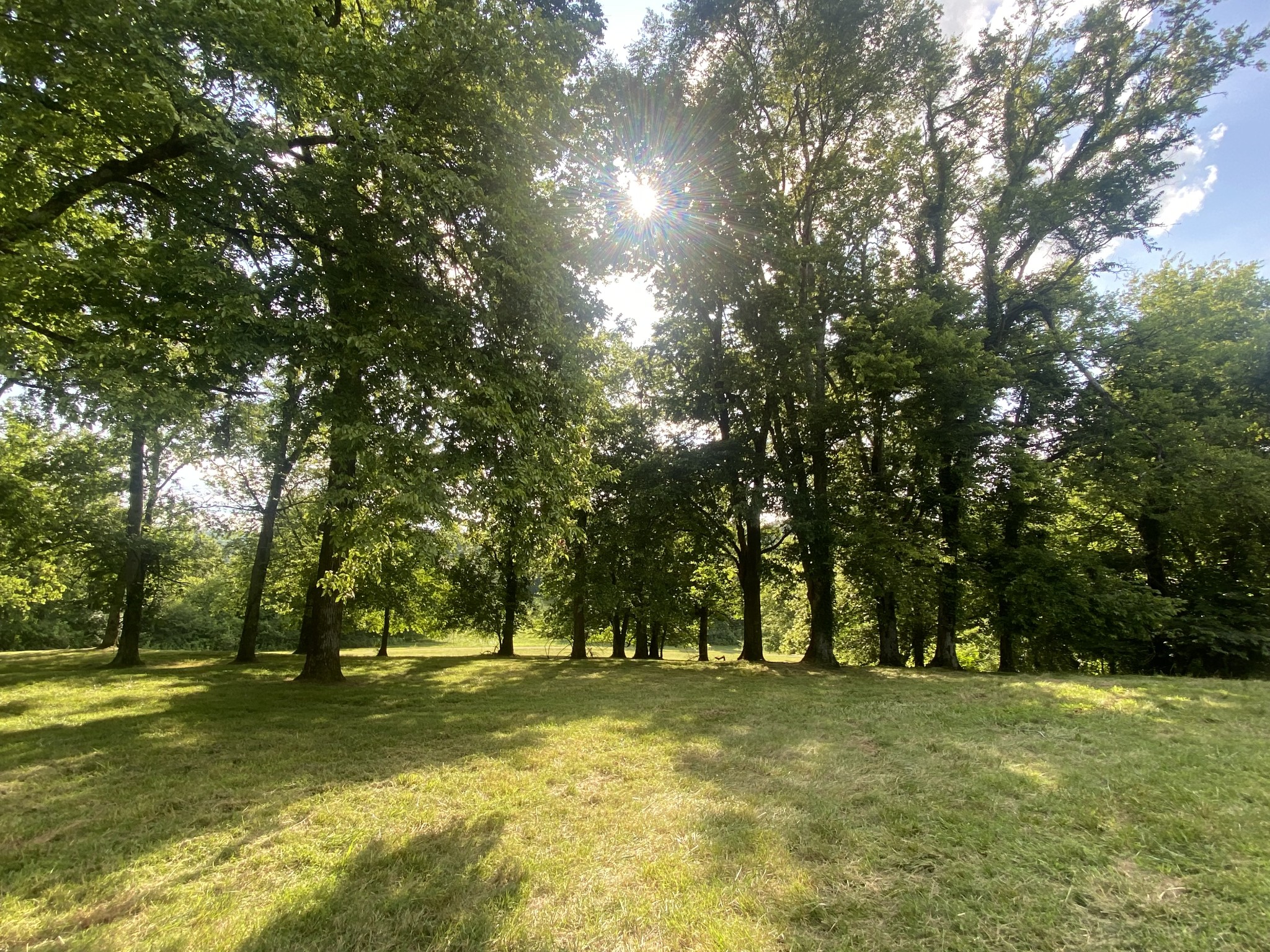 2255 Arthur Hutcherson Road Columbia, TN 38401 - Photo 27 of 43