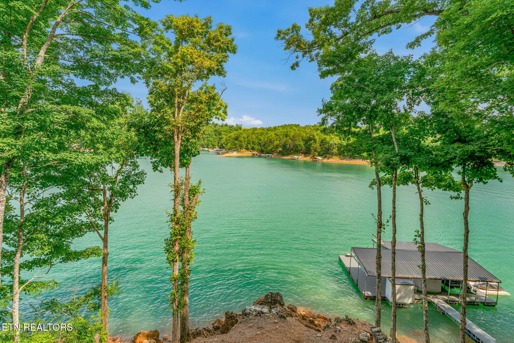 1779 Cove Pointe Road La Follette, TN 37766 - Photo 43 of 59 48-web-or-mls-1779 Cove Point Road-49