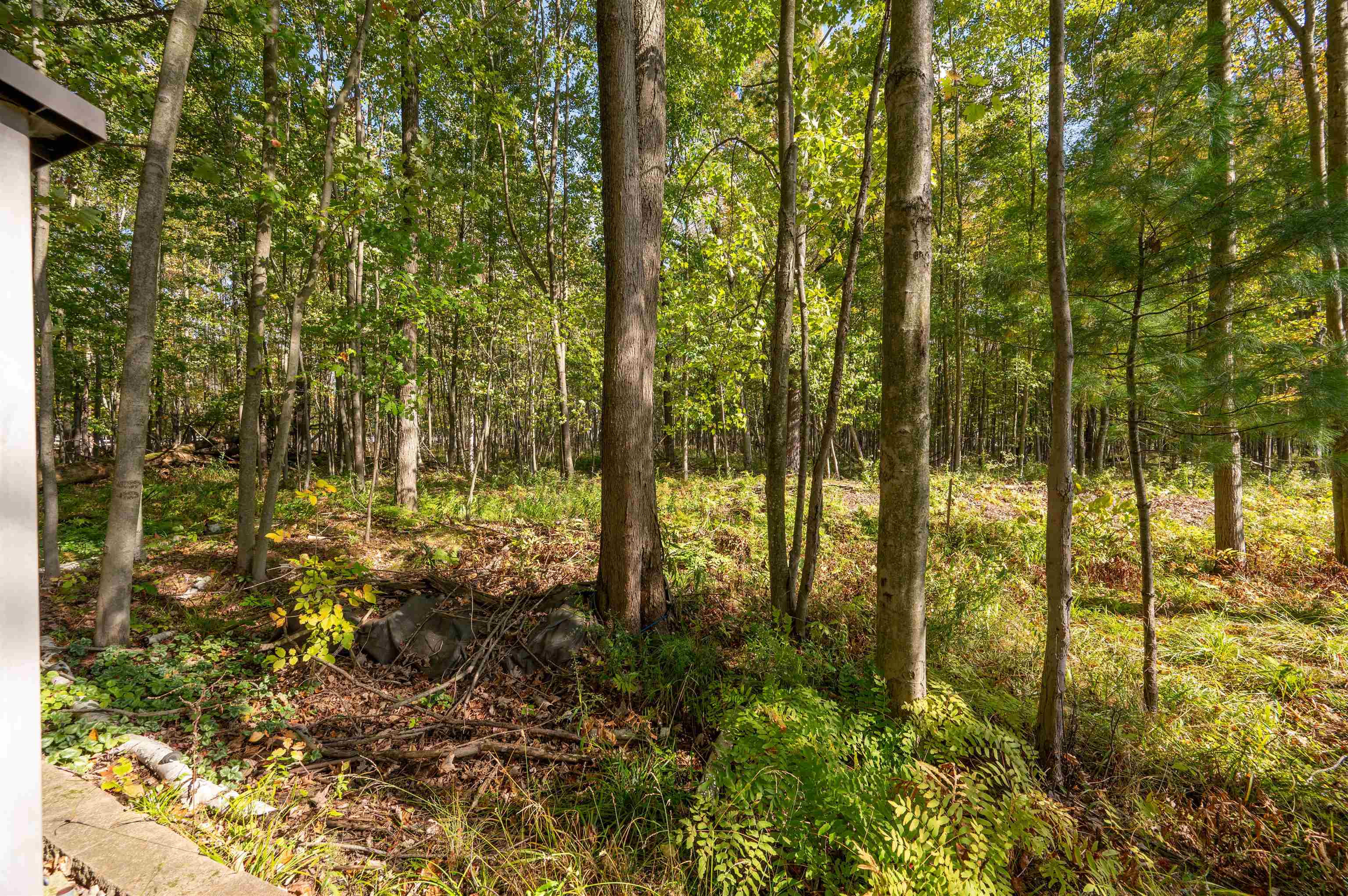 2928 North Jefferson Road Midland, MI 48642 - Photo 59 of 76 Gallery Image 59