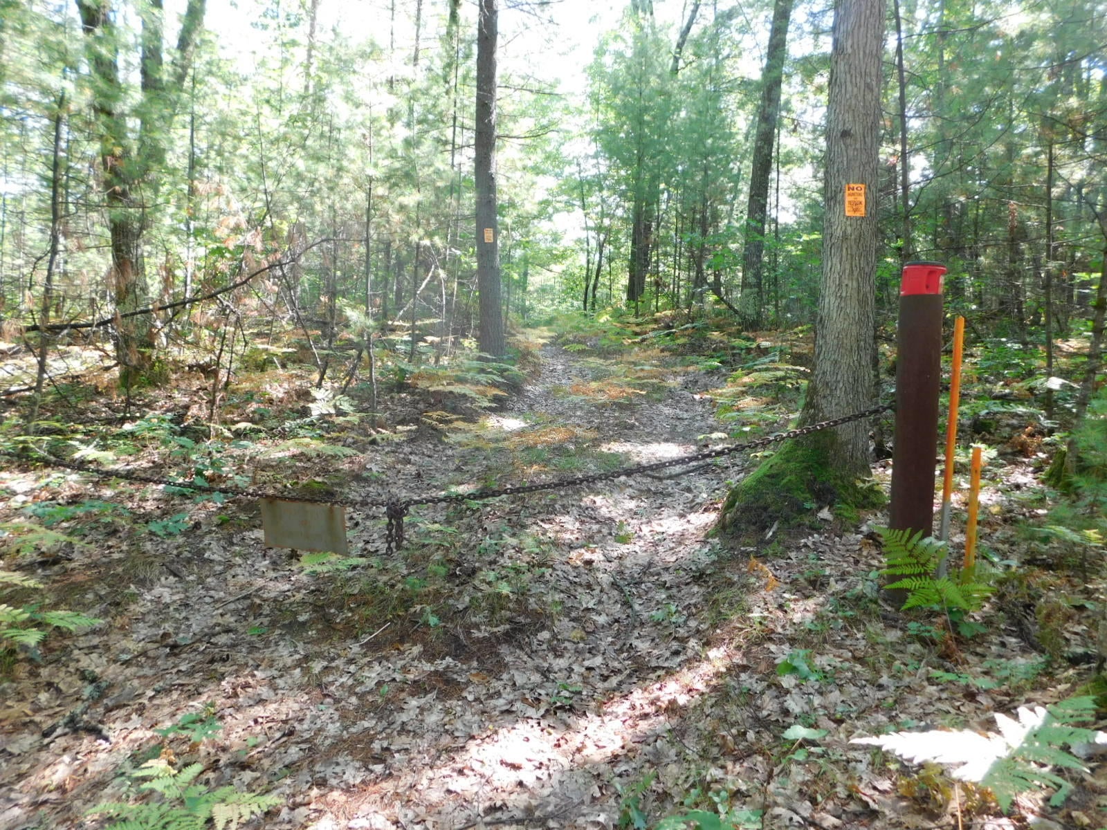 Bell Top Lodge Road Roscommon, MI 48653 - Photo 8 of 18 Gallery Image 8