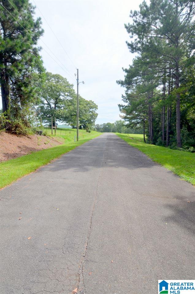 1155 Walkers Crossing Road Pell City, AL 35128 - Photo 2 of 37