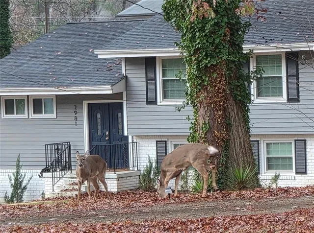 a front view of a house with garden and plants
