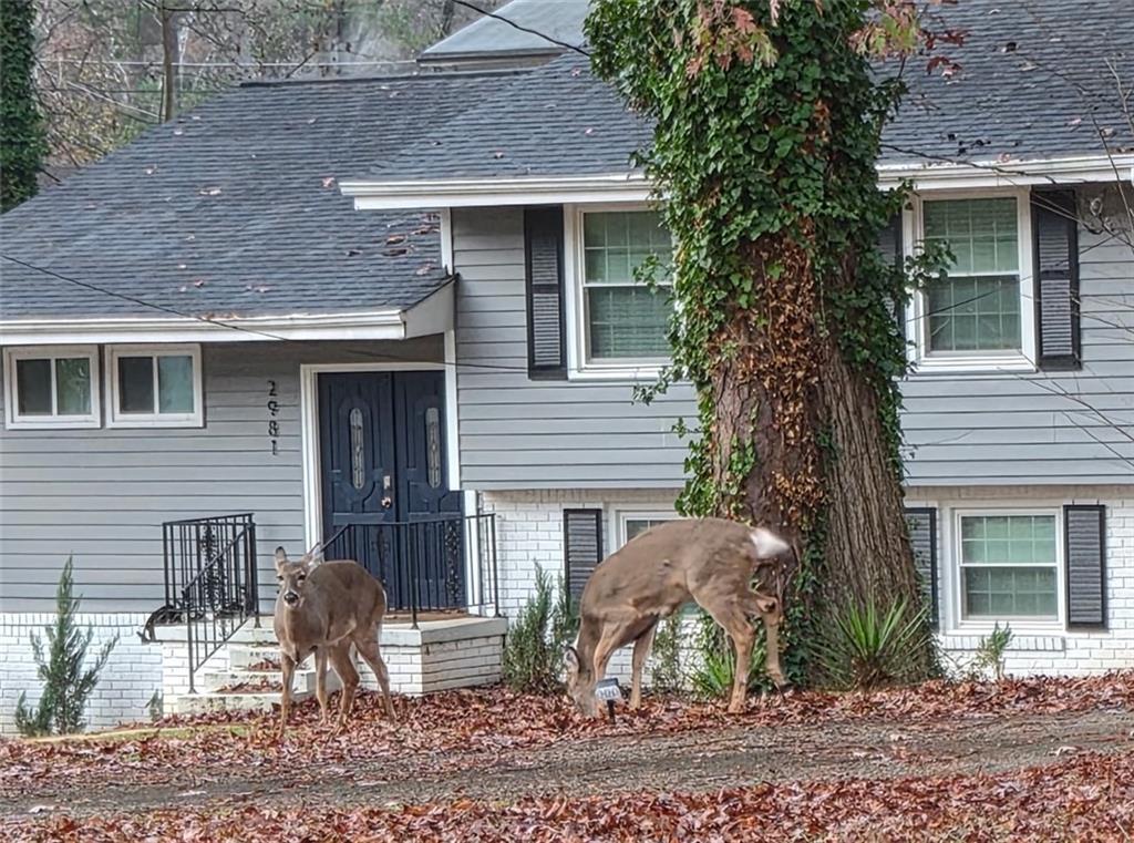 2968 McGlynn Court Decatur, GA 30034 - Photo 34 of 34 a front view of a house with garden and plants