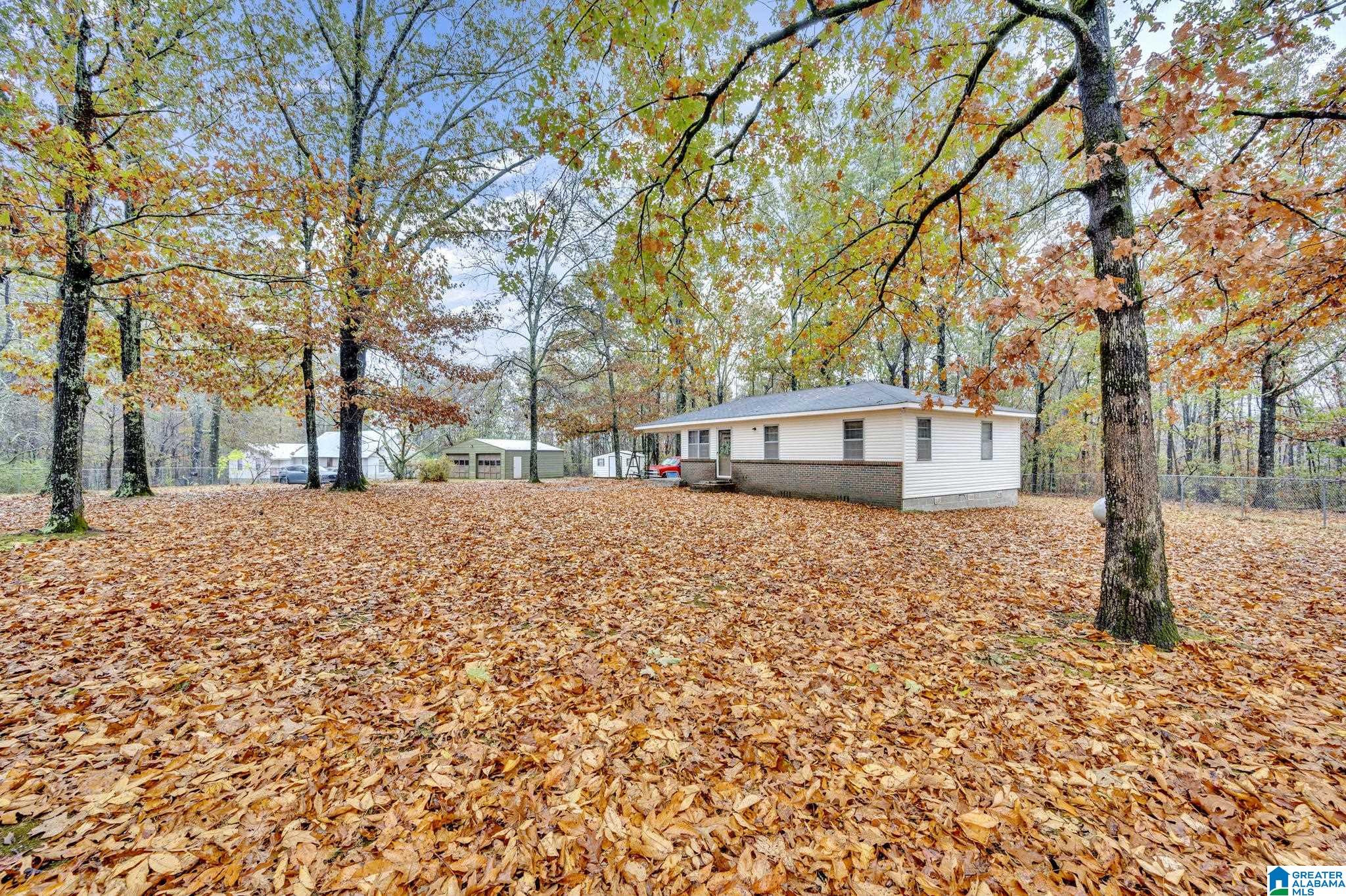 9300 Miller Road Warrior, AL 35180 - Photo 1 of 36