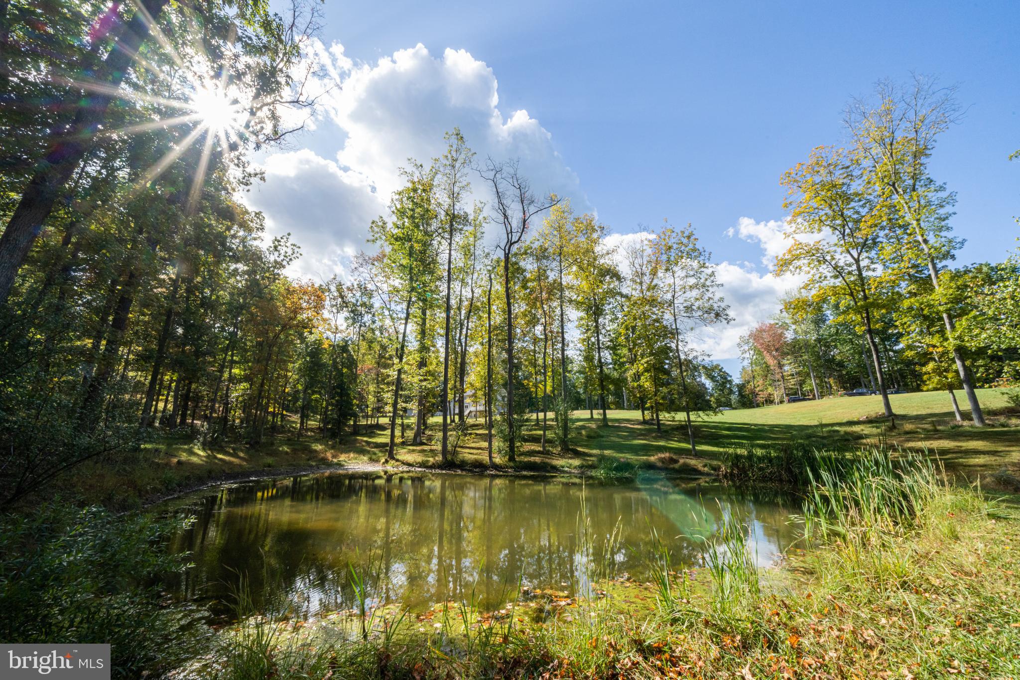 5403 Keyser Road Hume, VA 22639 - Photo 17 of 89 Gallery Image 17
