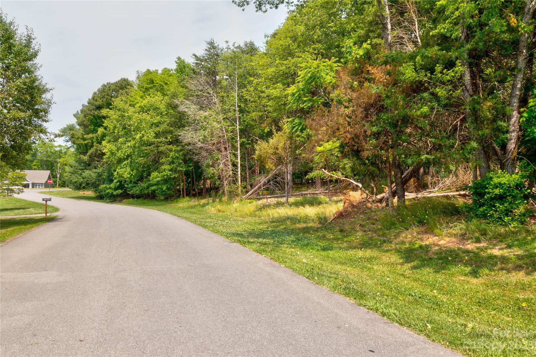 169-171 Harbor Point Drive Cherryville, NC 28021 - Photo 4 of 6 a view of a yard with swimming pool