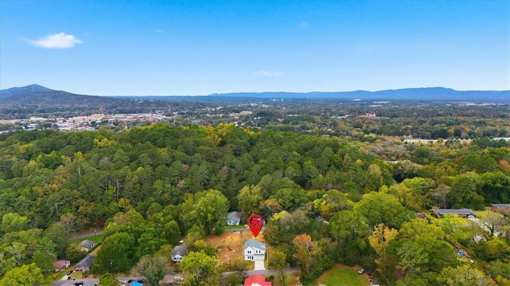 119 Jackson Street Cedartown, GA 30125 - Photo 50 of 58 a view of a city with lush green forest