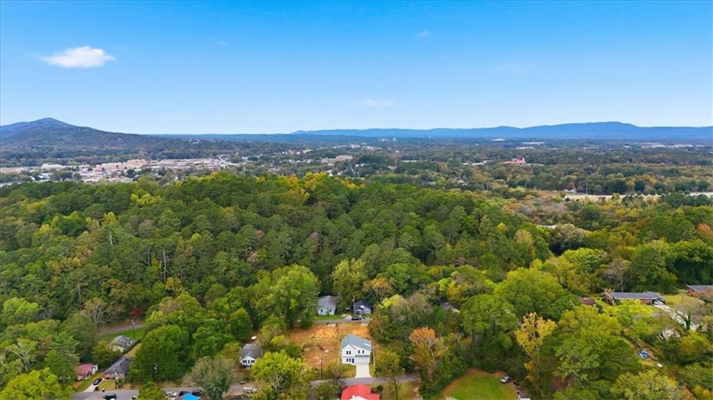 119 Jackson Street Cedartown, GA 30125 - Photo 52 of 58 a view of a city with lush green forest
