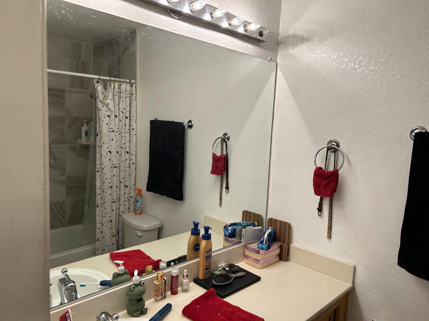 11150 Trinity River Drive, Unit 41 Rancho Cordova, CA 95670 - Photo 9 of 10 a bathroom with a sink mirror and vanity