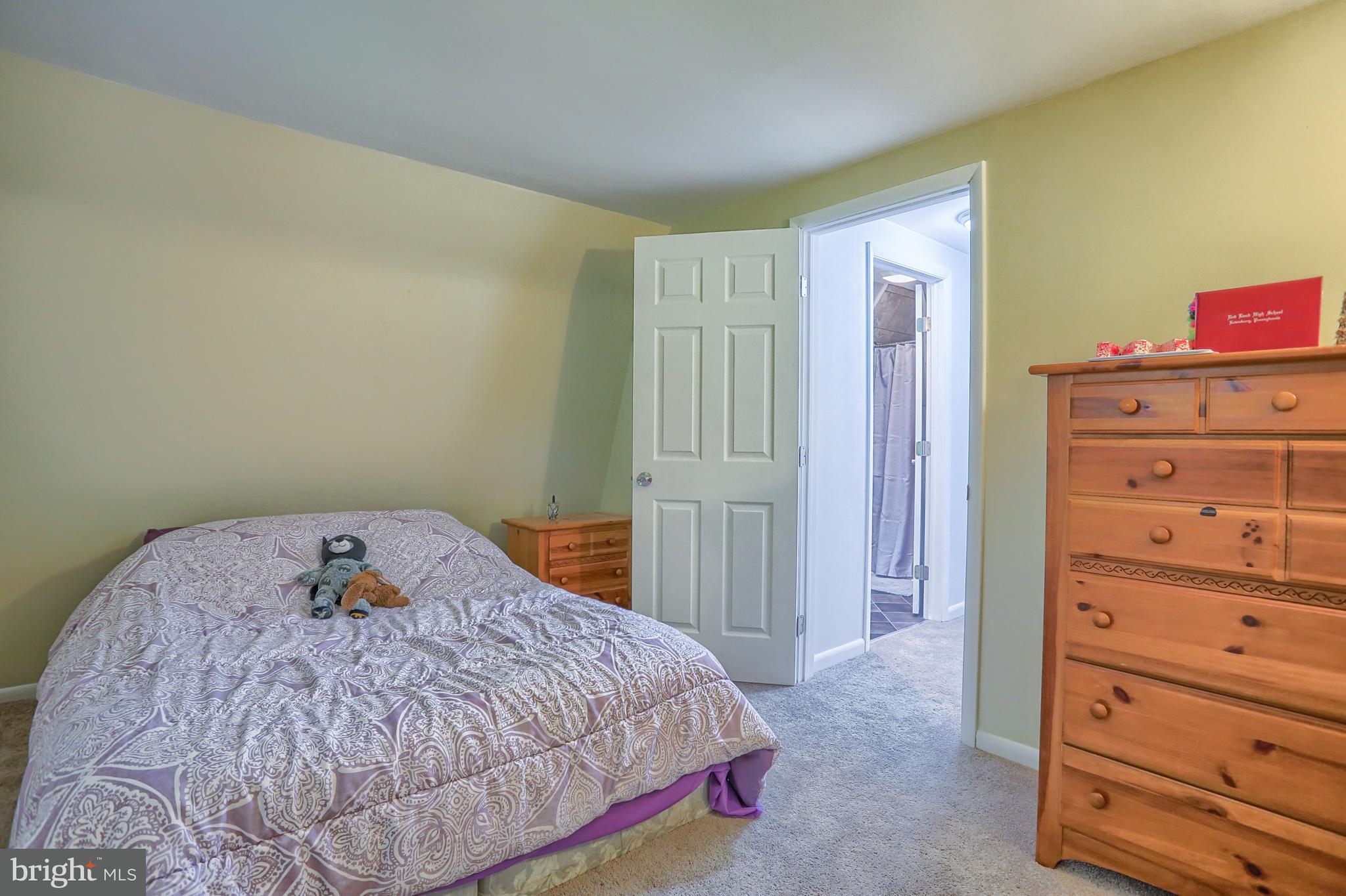 398 Big Spring Road New Cumberland, PA 17070 - Photo 23 of 46 Gallery Image 23