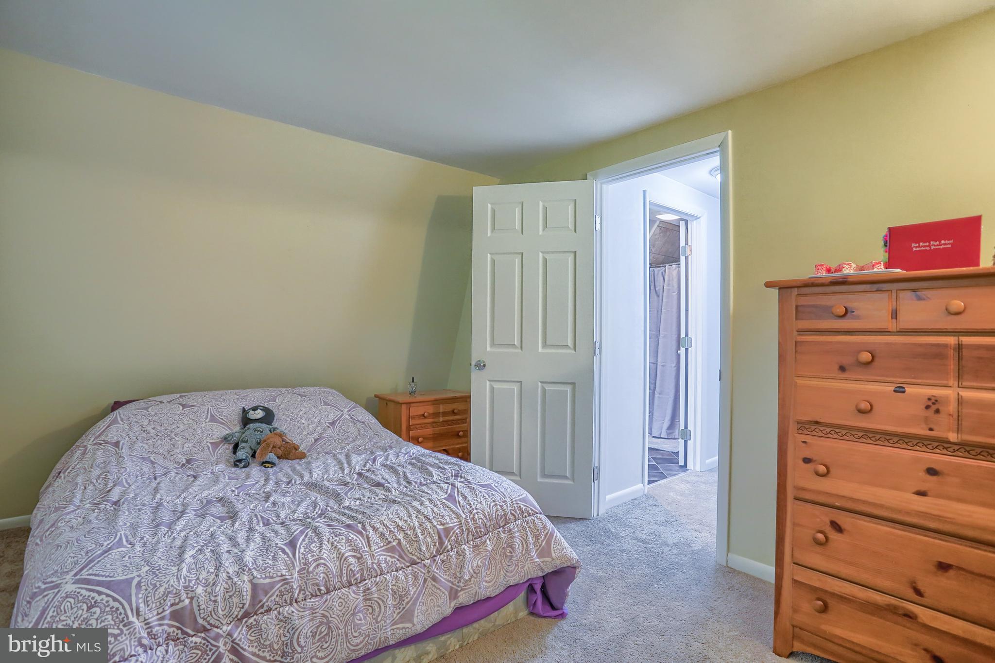 398 Big Spring Road New Cumberland, PA 17070 - Photo 24 of 46 Gallery Image 24