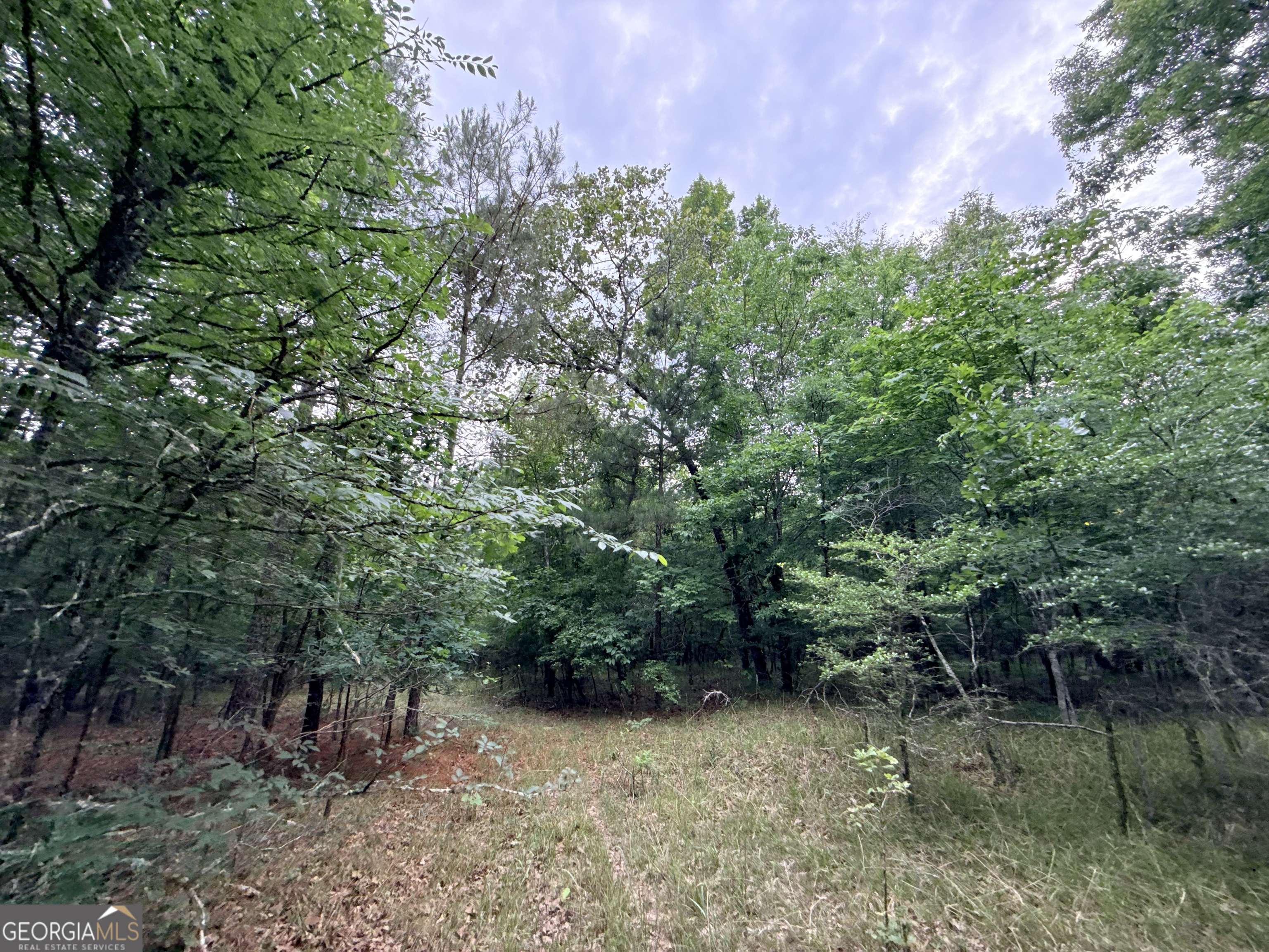 2 Bethesda Church Road Lexington, GA 30648 - Photo 12 of 66