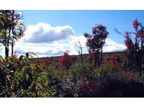 8 Summit Road New London, NH 03257 - Photo 2 of 9 Gallery Image 2