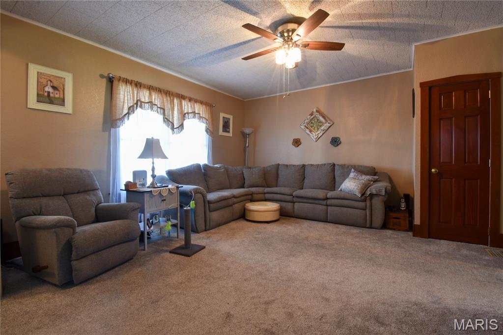 8221 State Rte 4 Staunton, IL 62088 - Photo 8 of 45