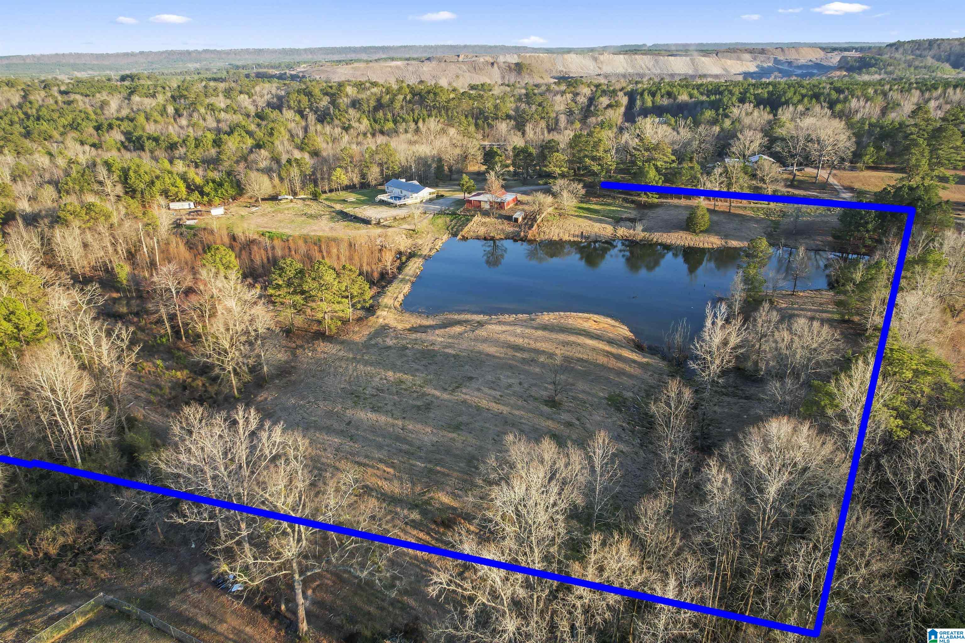 7080 Parsons Lake Road Adger, AL 35006 - Photo 57 of 59