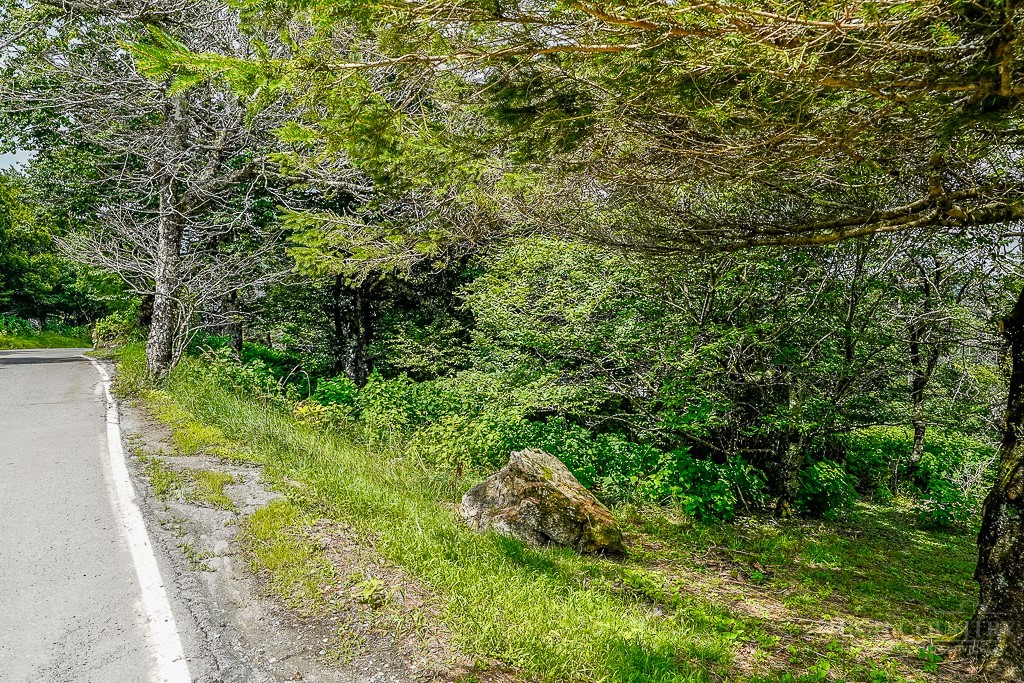 512 Oz Road Banner Elk, NC 28604 - Photo 5 of 13 Gallery Image 5