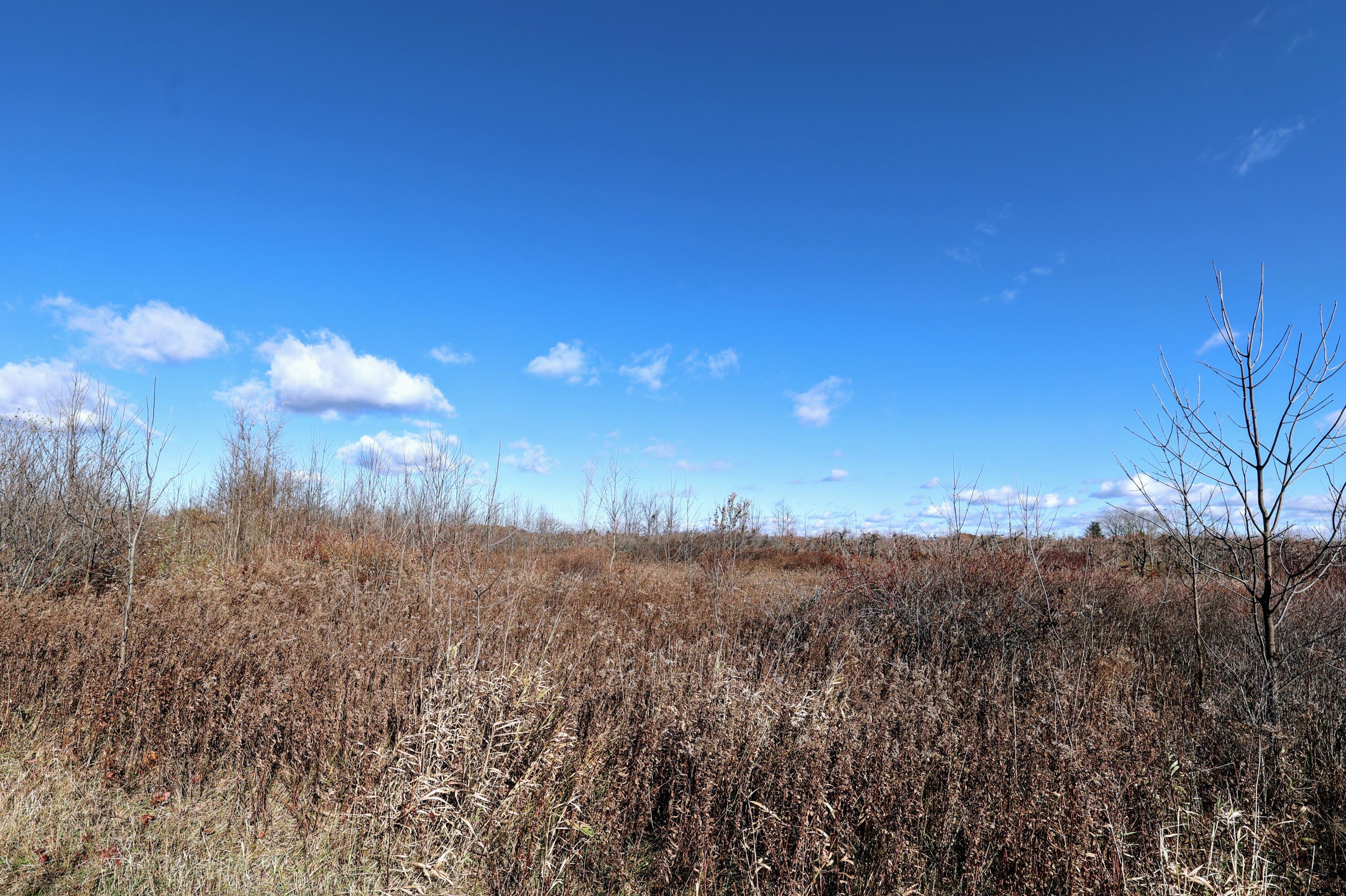 Vl 32nd Avenue Covert, MI 49043 - Photo 13 of 49 13