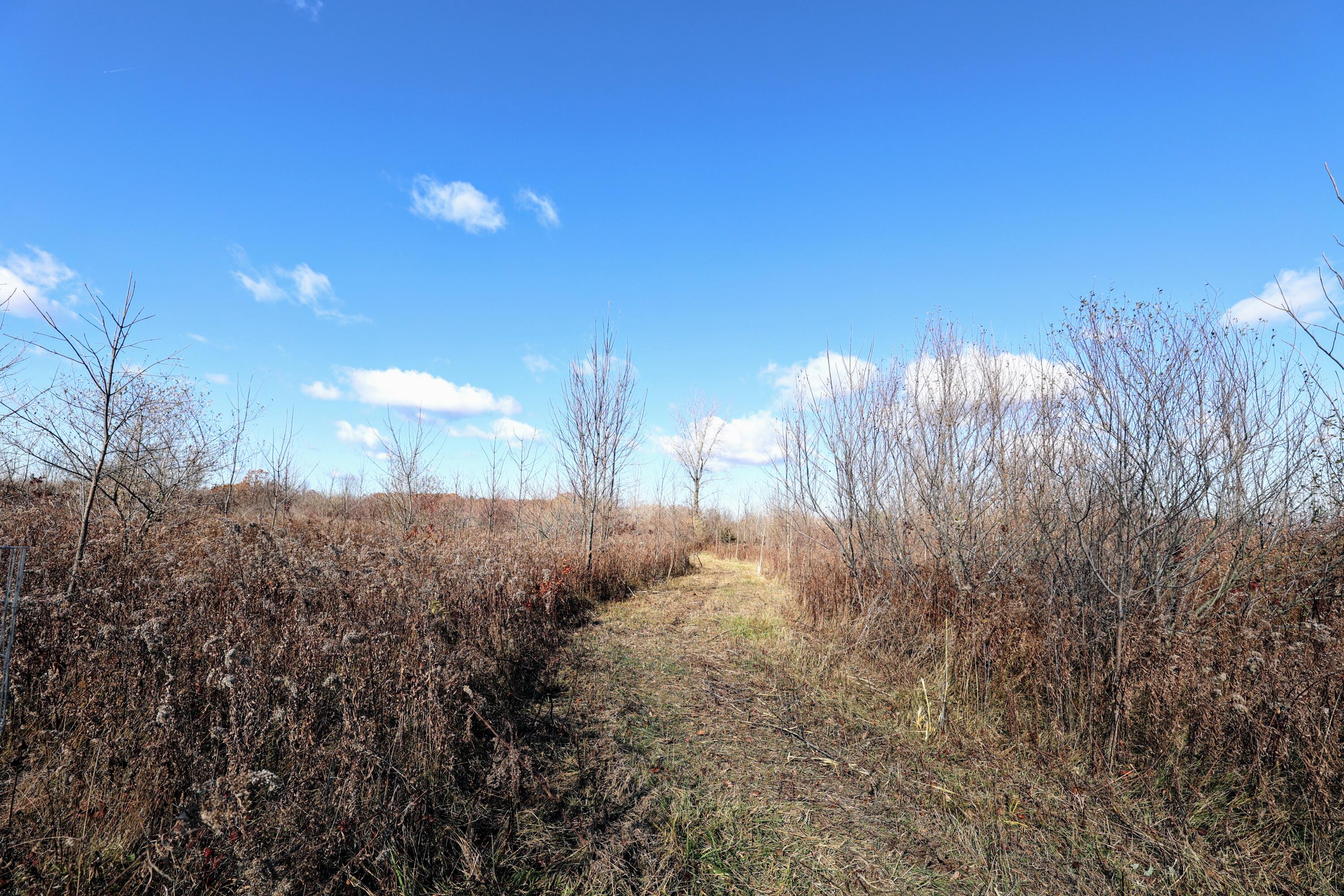 Vl 32nd Avenue Covert, MI 49043 - Photo 14 of 49 14