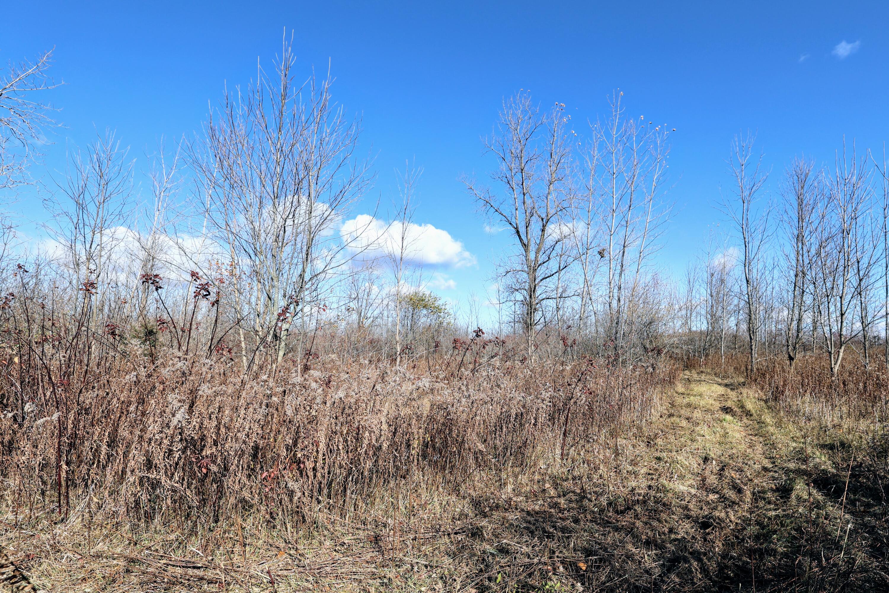 Vl 32nd Avenue Covert, MI 49043 - Photo 15 of 49 15