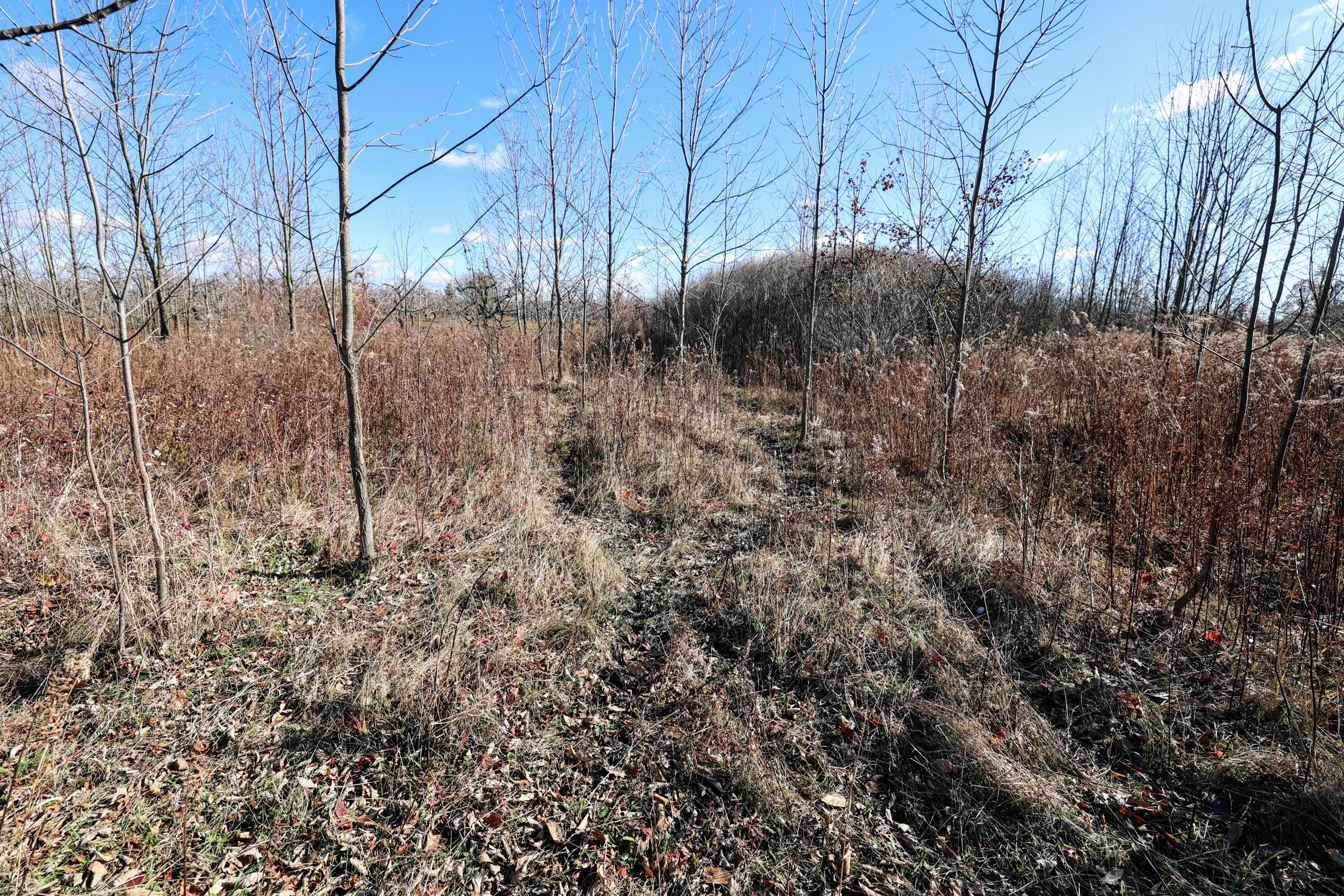 Vl 32nd Avenue Covert, MI 49043 - Photo 19 of 49 19