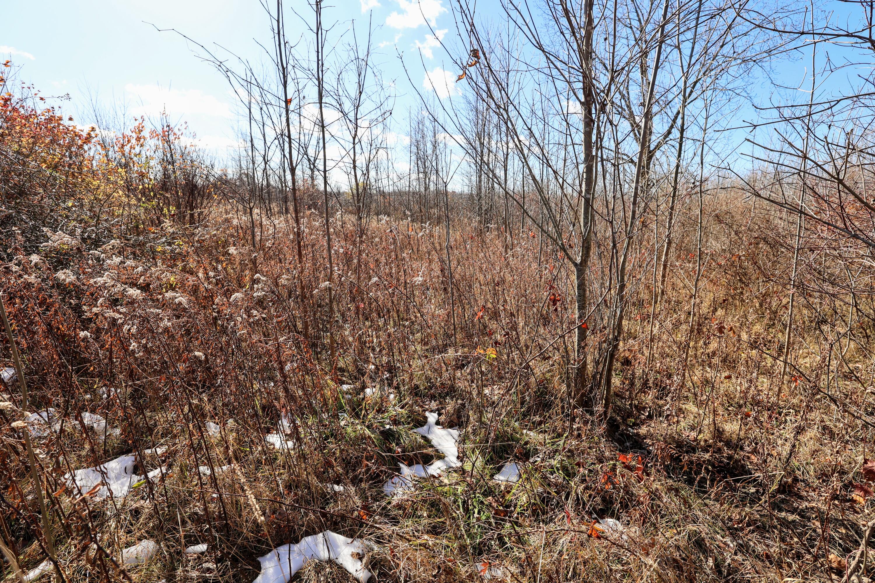 Vl 32nd Avenue Covert, MI 49043 - Photo 20 of 49 20