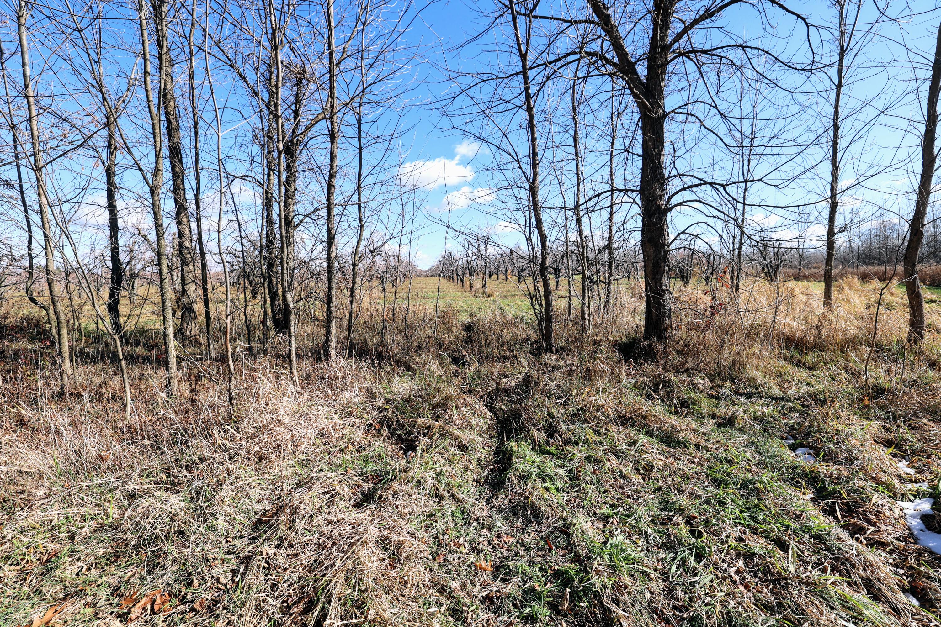 Vl 32nd Avenue Covert, MI 49043 - Photo 2 of 49 2