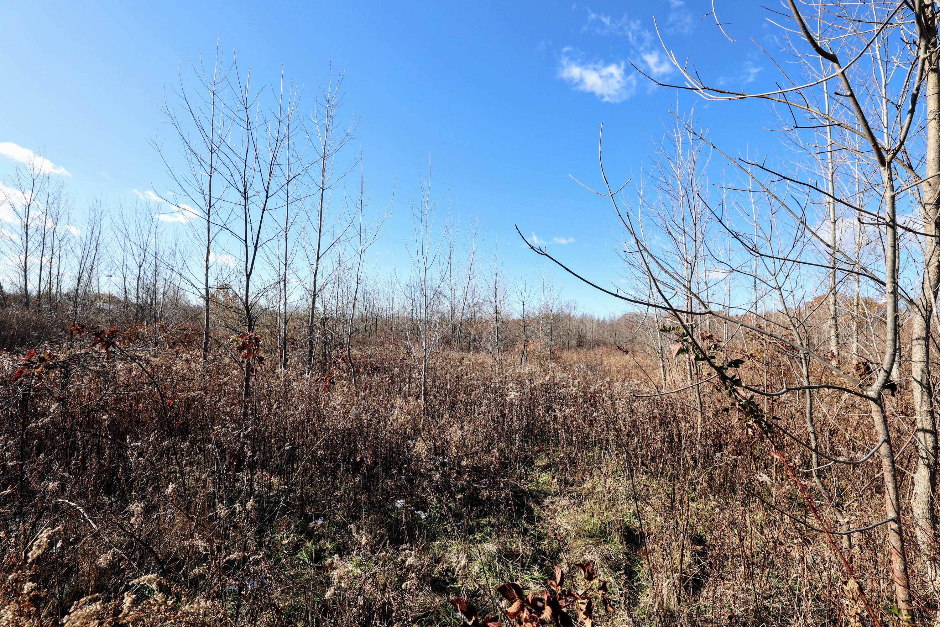 Vl 32nd Avenue Covert, MI 49043 - Photo 21 of 49 21