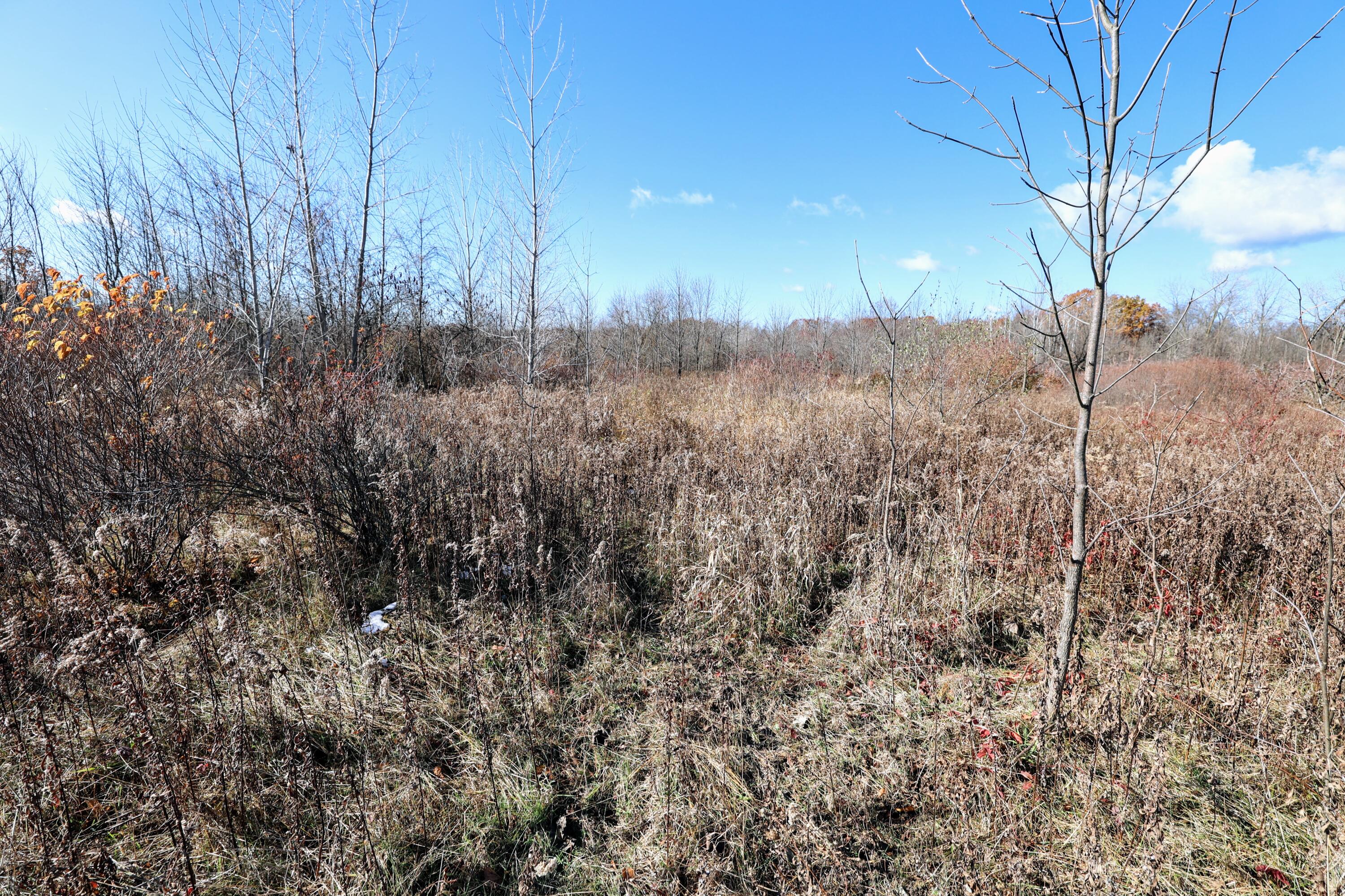 Vl 32nd Avenue Covert, MI 49043 - Photo 22 of 49 22