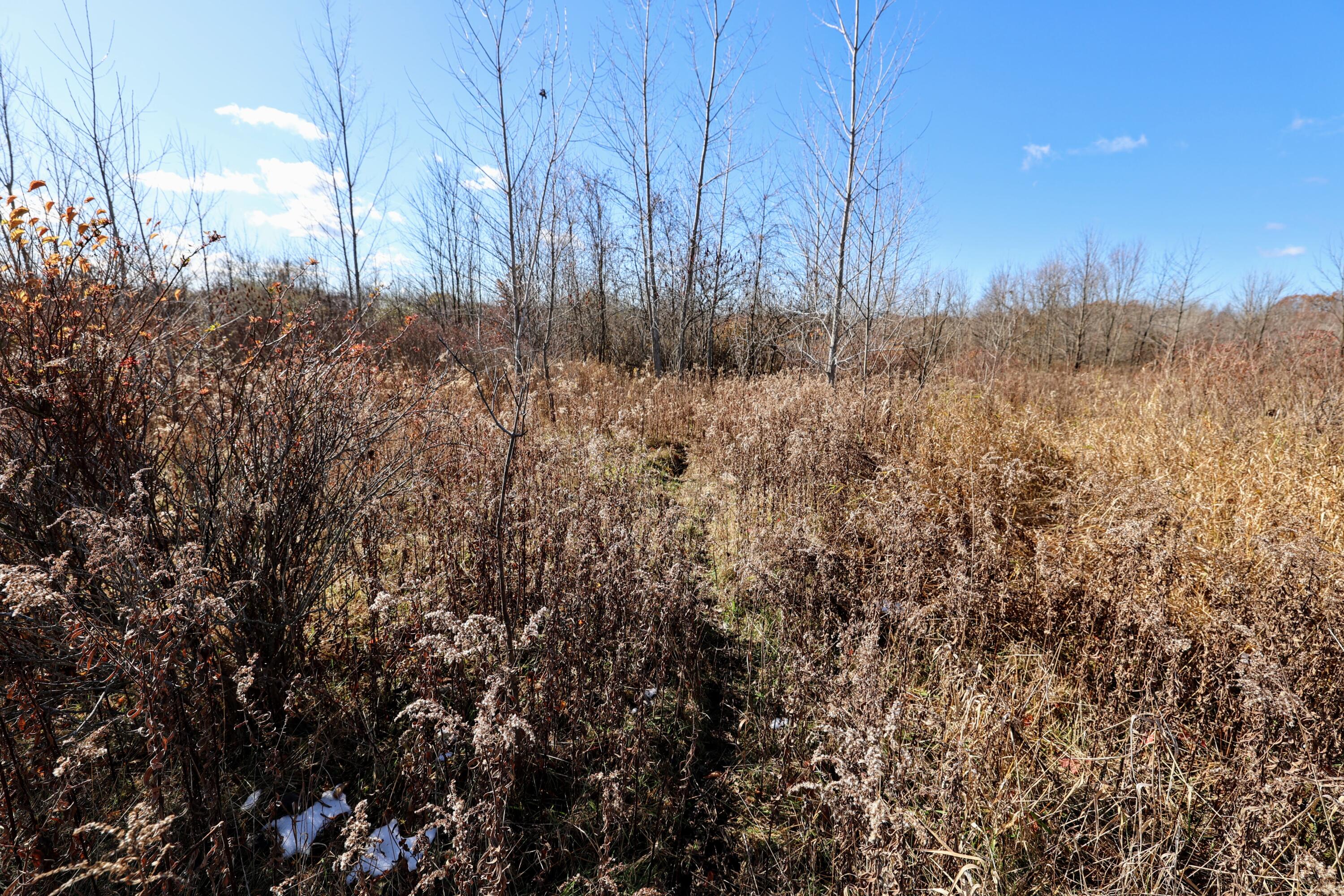 Vl 32nd Avenue Covert, MI 49043 - Photo 23 of 49 23