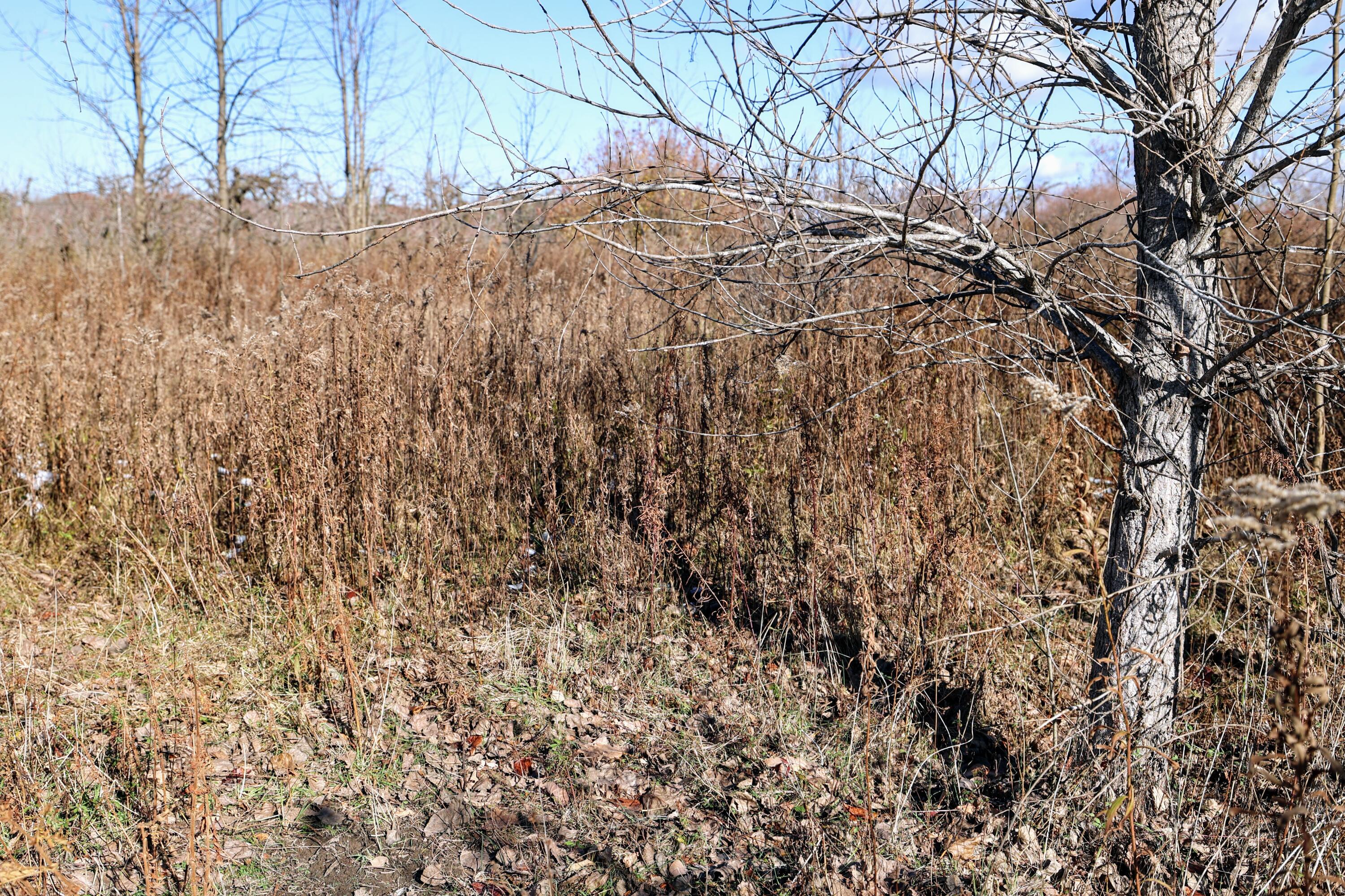 Vl 32nd Avenue Covert, MI 49043 - Photo 24 of 49 24