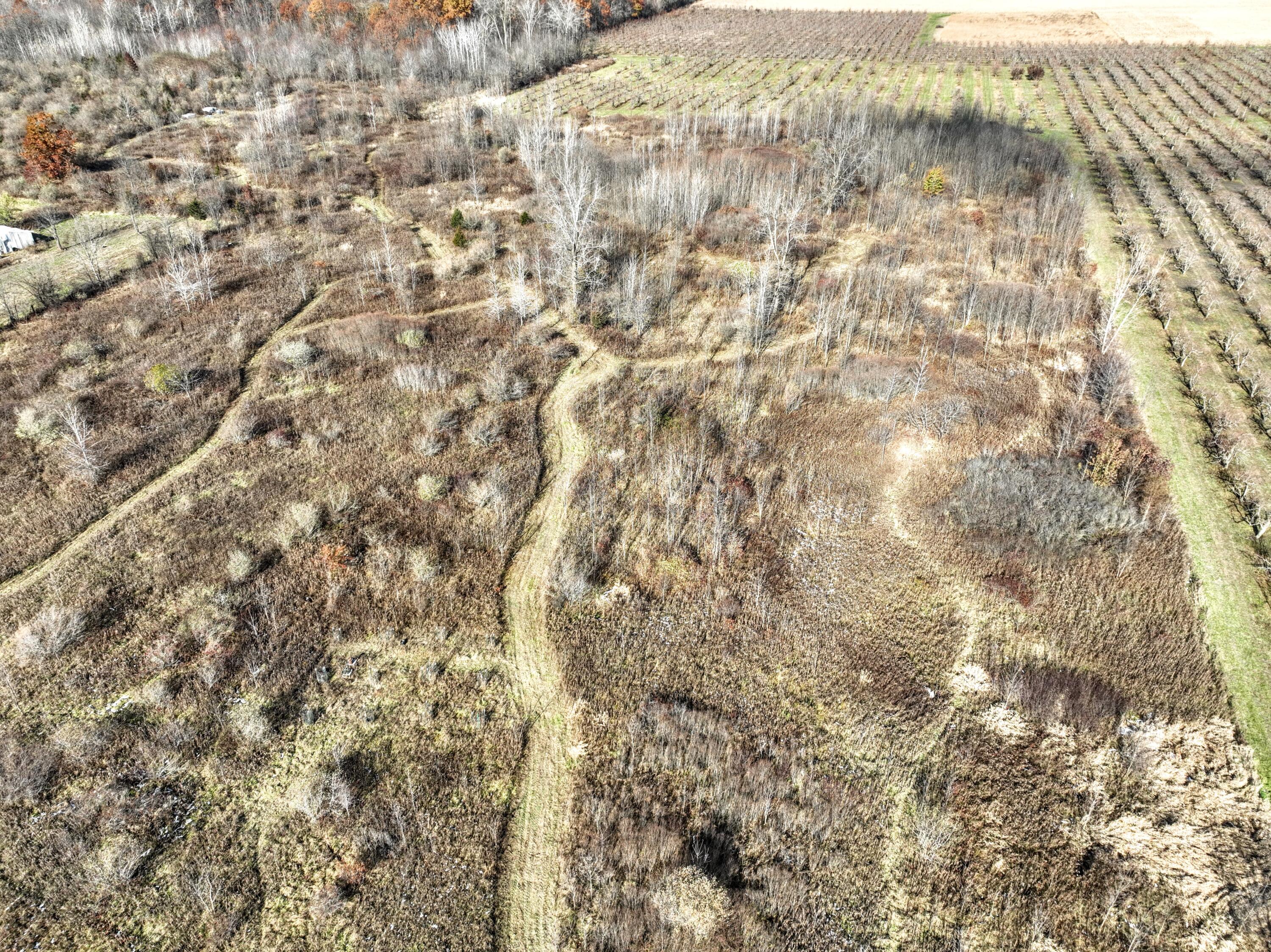 Vl 32nd Avenue Covert, MI 49043 - Photo 25 of 49 25