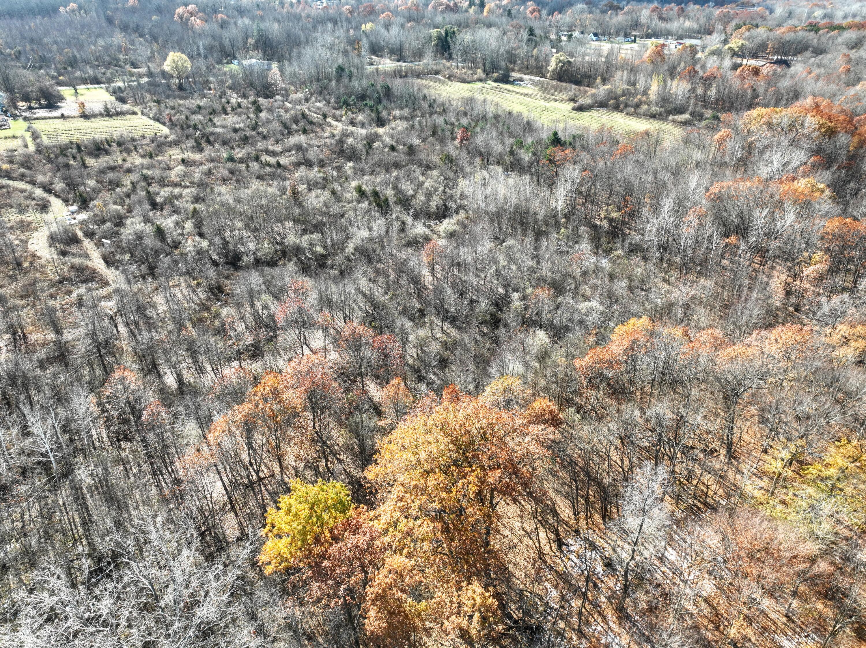 Vl 32nd Avenue Covert, MI 49043 - Photo 29 of 49 29