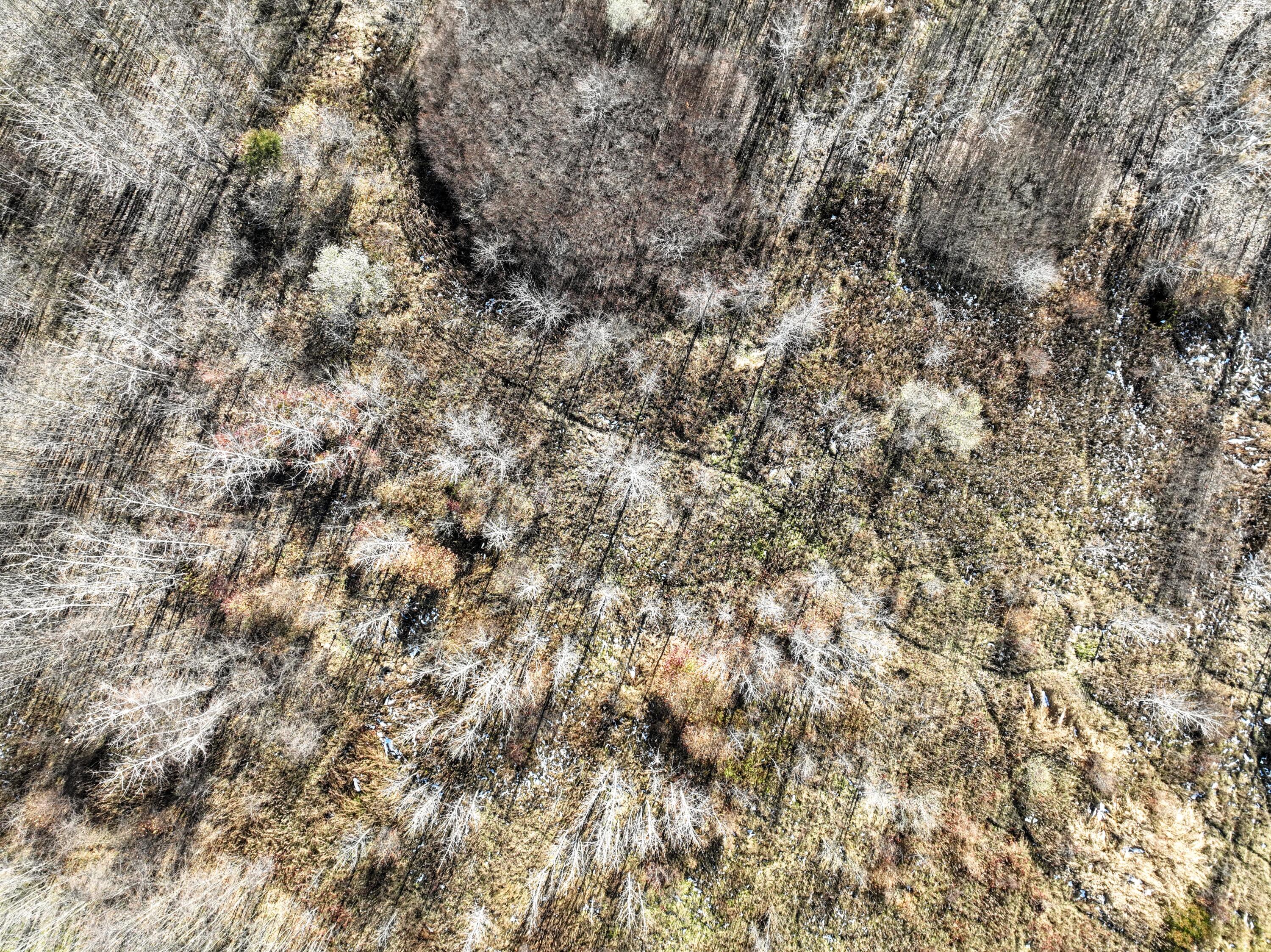 Vl 32nd Avenue Covert, MI 49043 - Photo 3 of 49 3