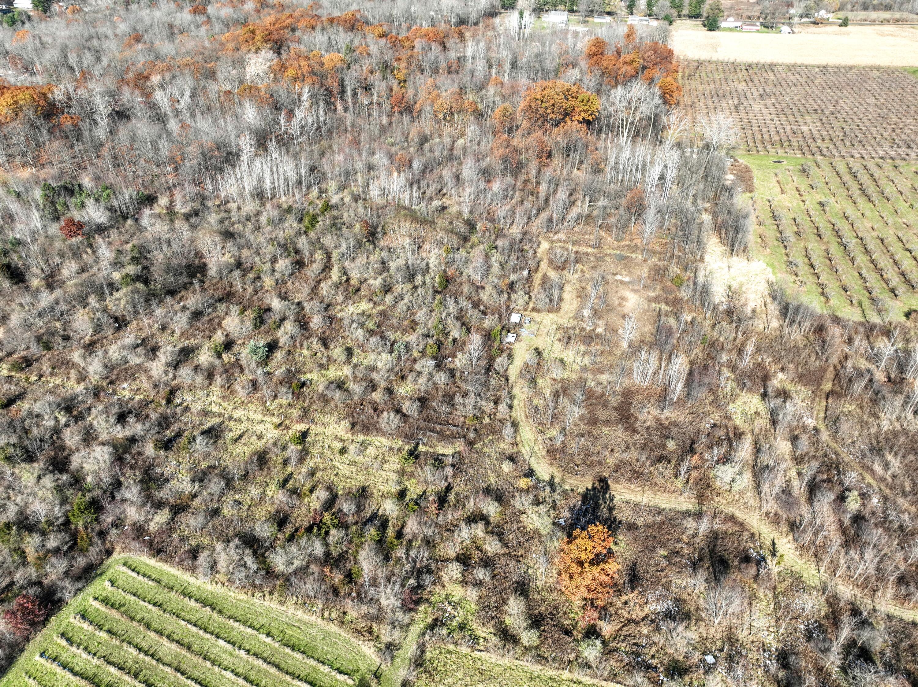 Vl 32nd Avenue Covert, MI 49043 - Photo 34 of 49 34