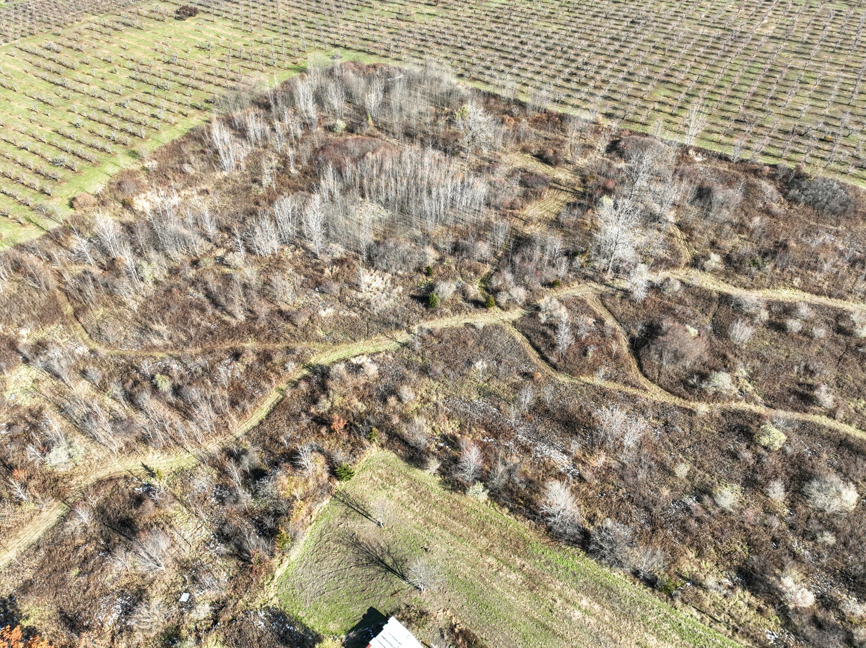 Vl 32nd Avenue Covert, MI 49043 - Photo 35 of 49 35