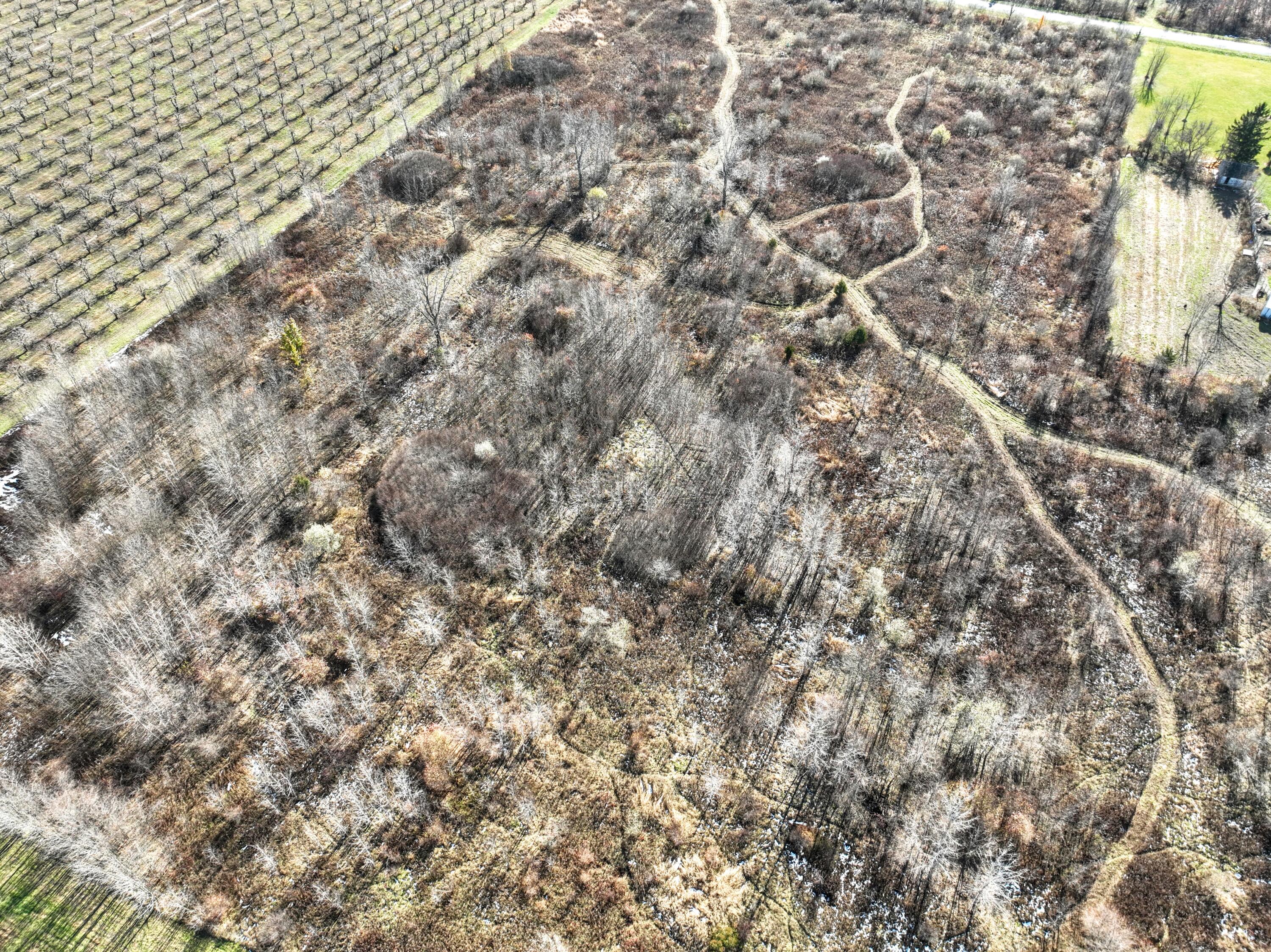 Vl 32nd Avenue Covert, MI 49043 - Photo 36 of 49 36