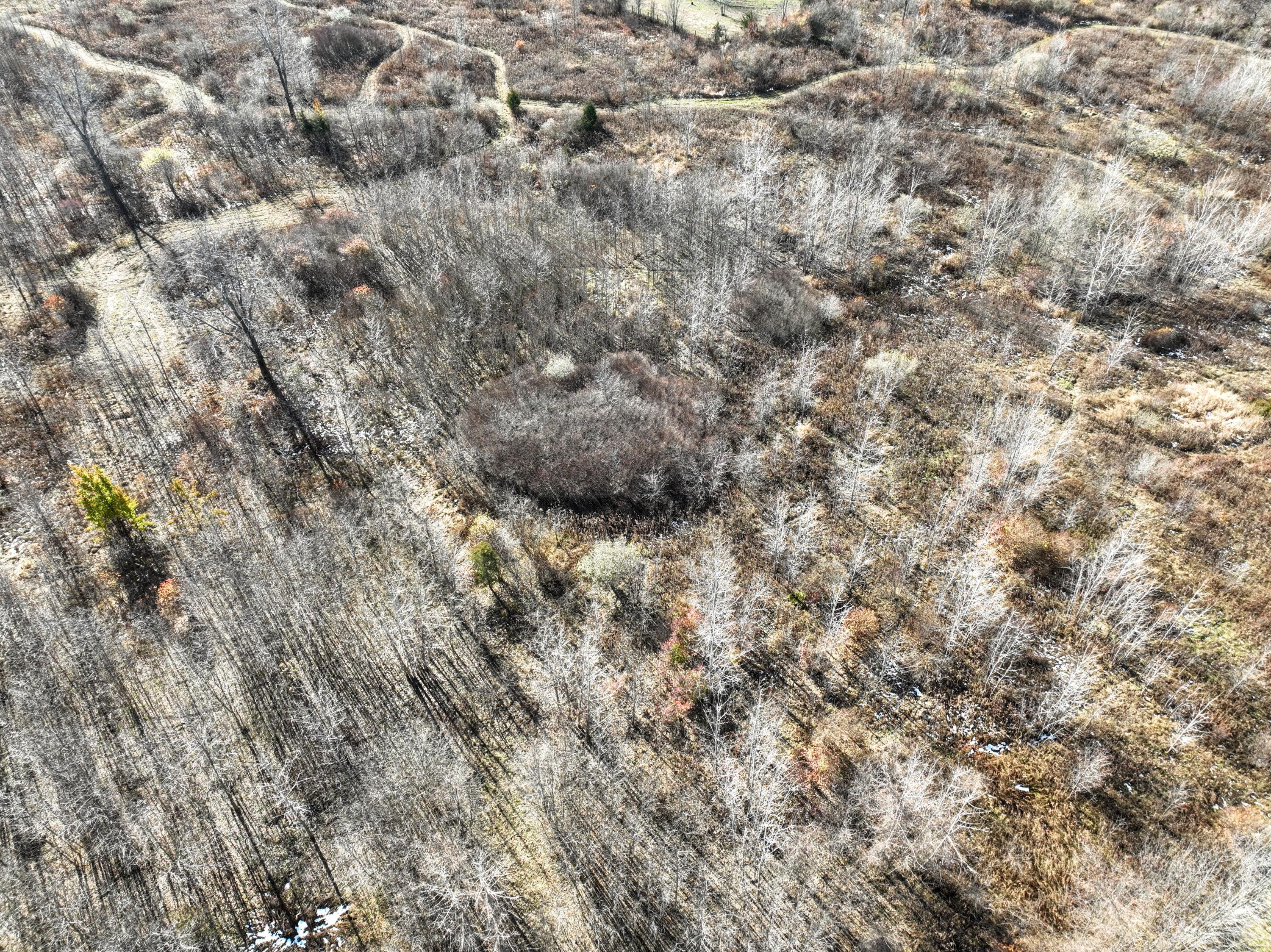 Vl 32nd Avenue Covert, MI 49043 - Photo 37 of 49 37