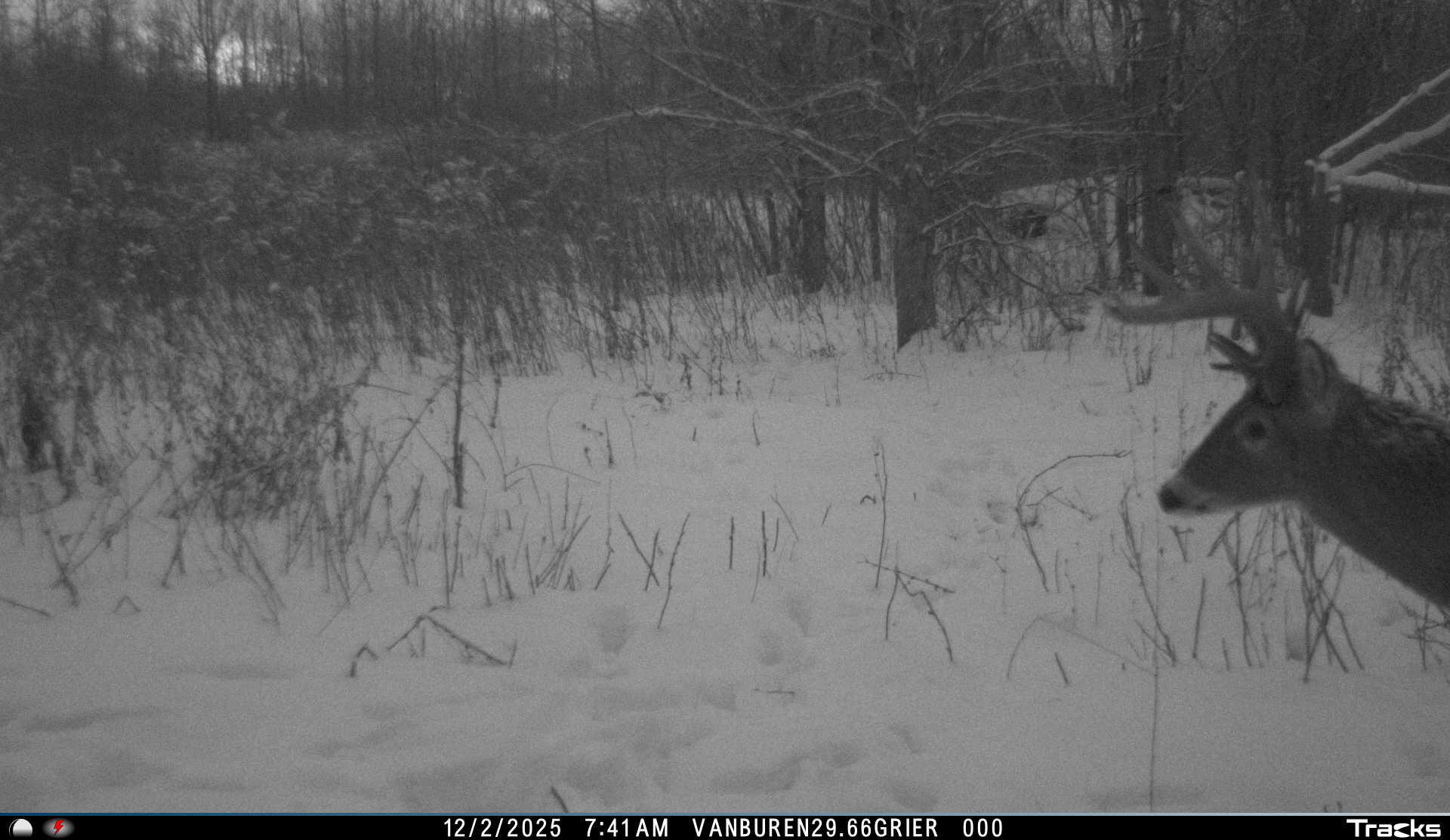 Vl 32nd Avenue Covert, MI 49043 - Photo 38 of 49 3a