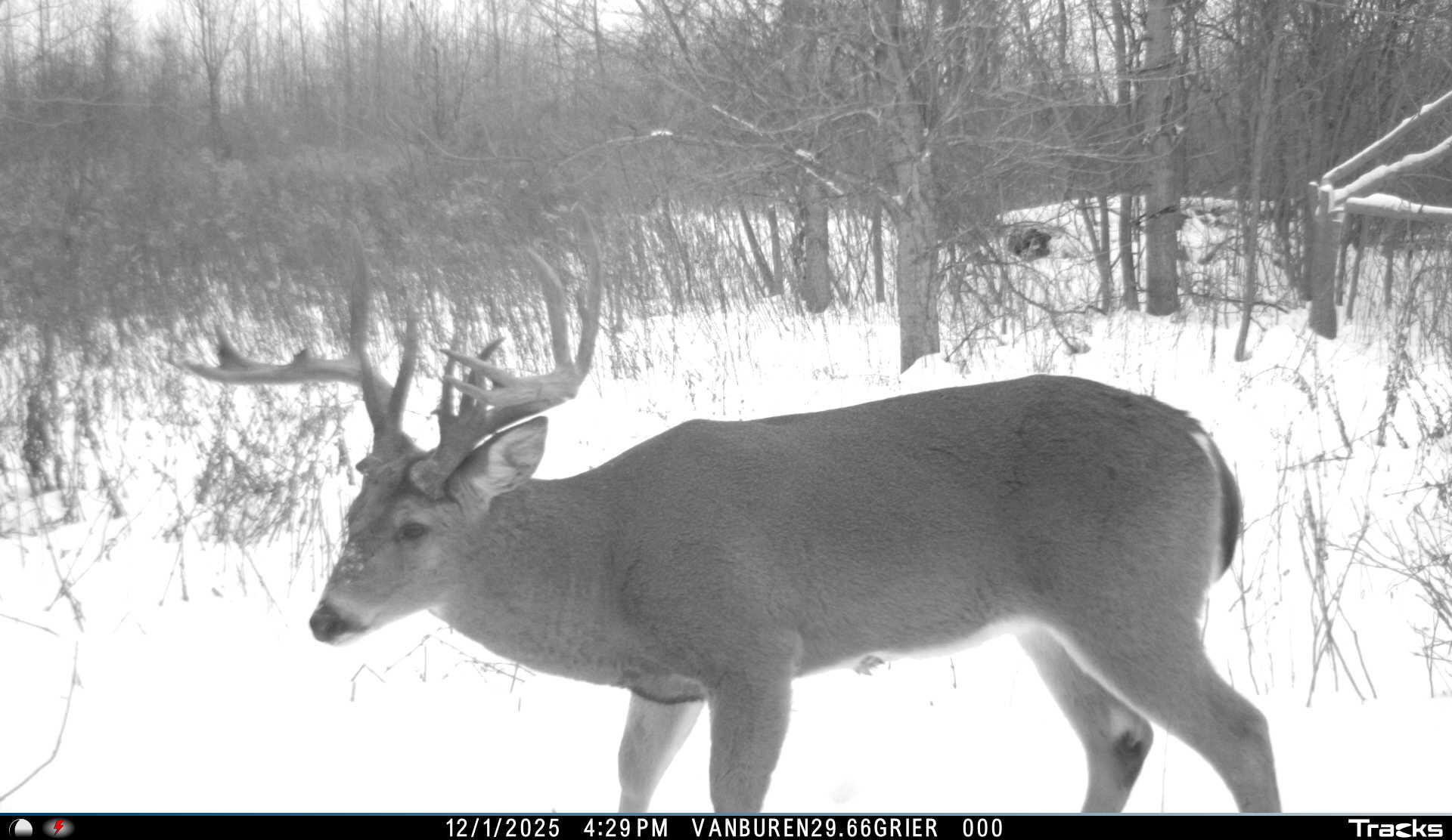 Vl 32nd Avenue Covert, MI 49043 - Photo 39 of 49 15