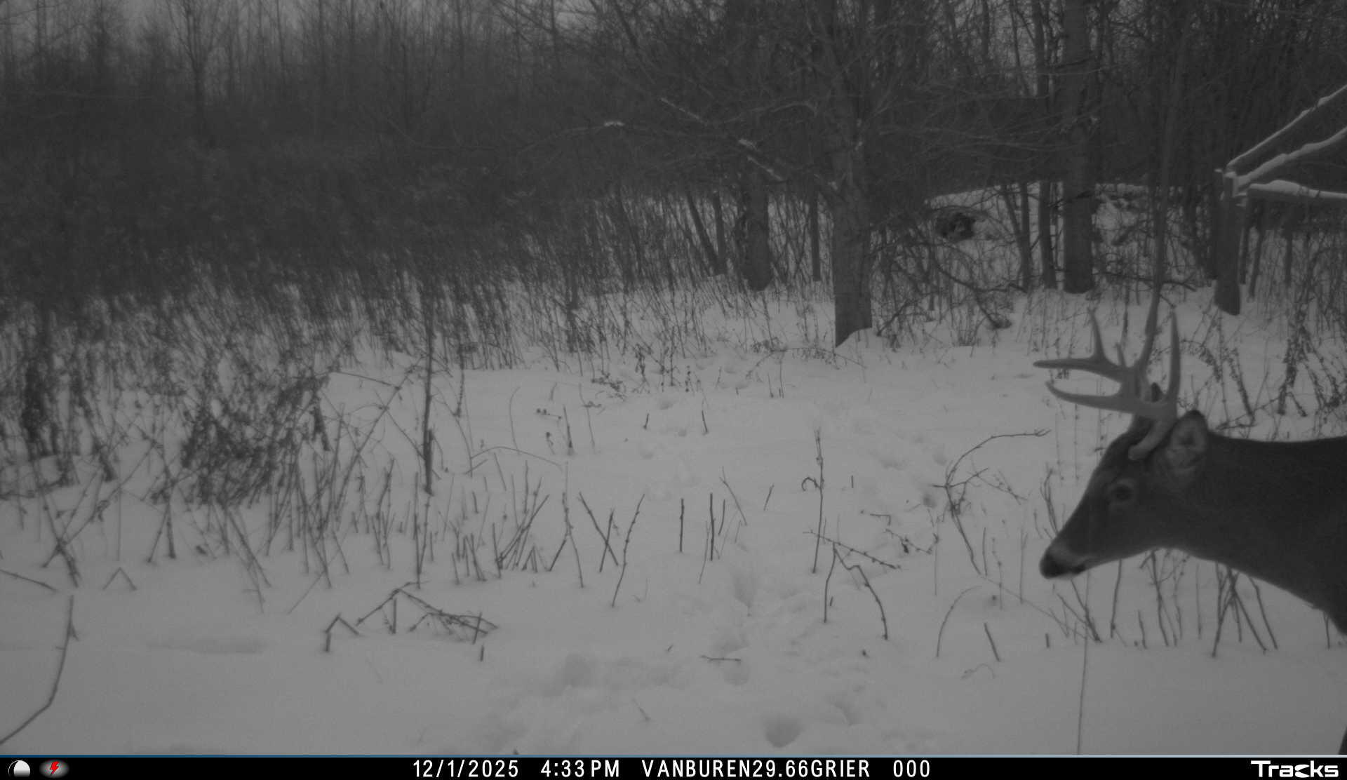 Vl 32nd Avenue Covert, MI 49043 - Photo 40 of 49 17 (1)