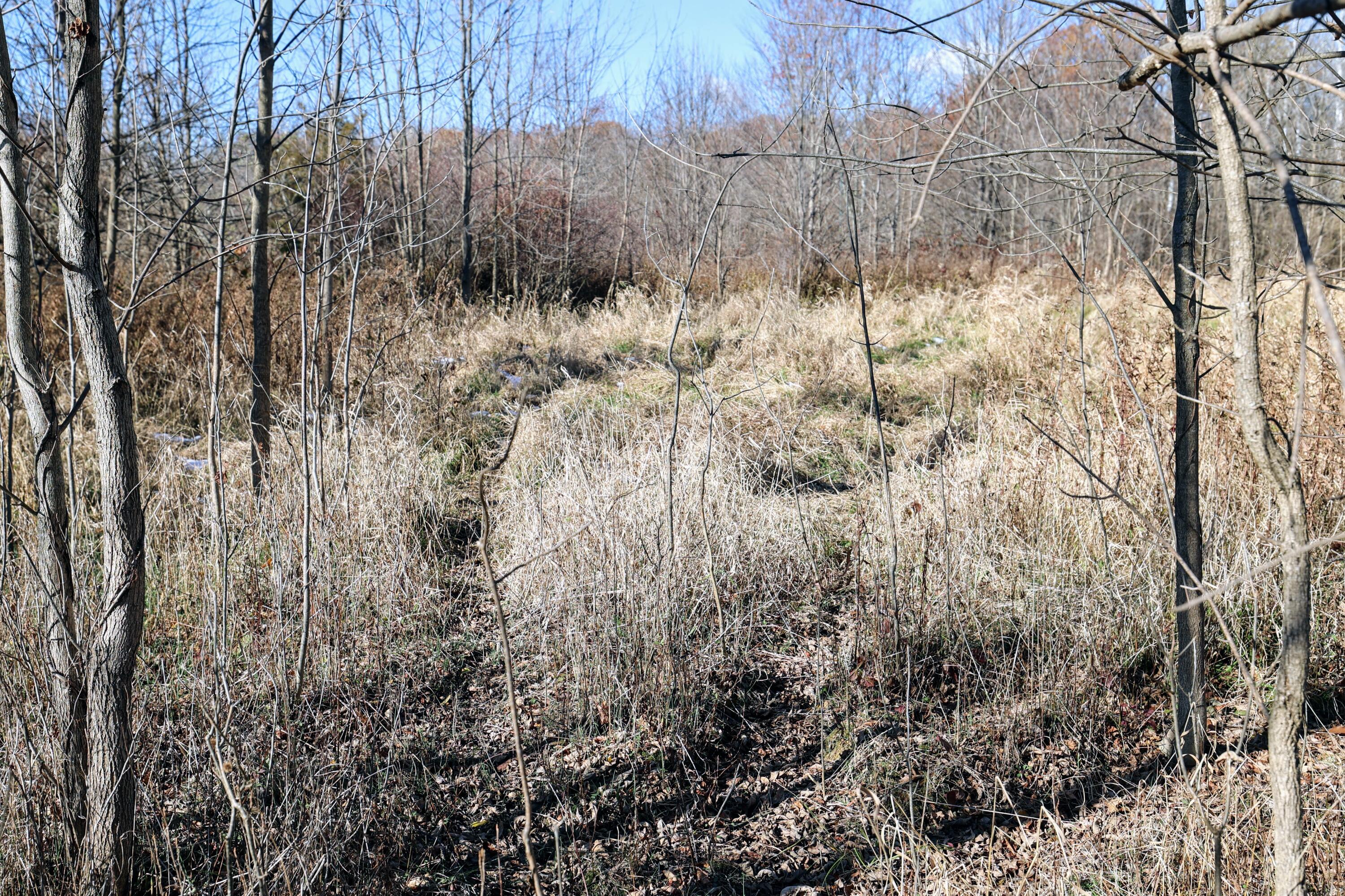 Vl 32nd Avenue Covert, MI 49043 - Photo 4 of 49 4