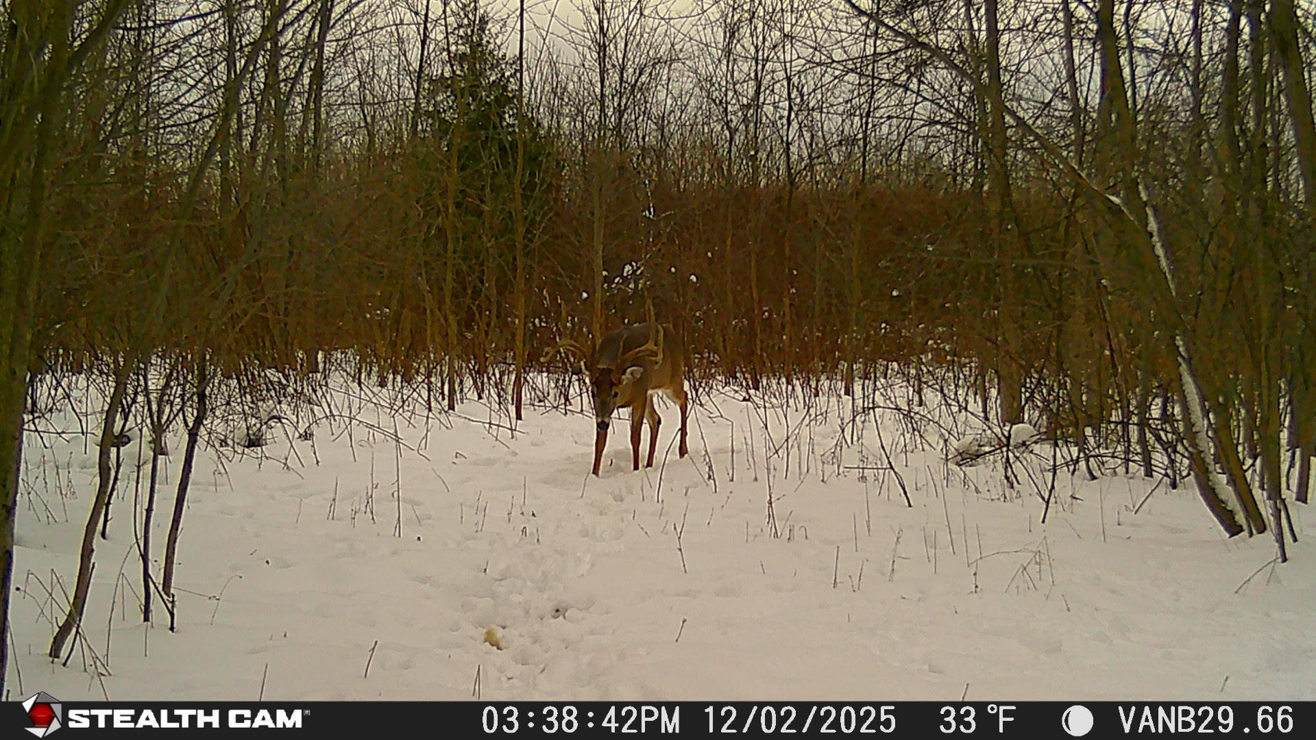 Vl 32nd Avenue Covert, MI 49043 - Photo 41 of 49 i