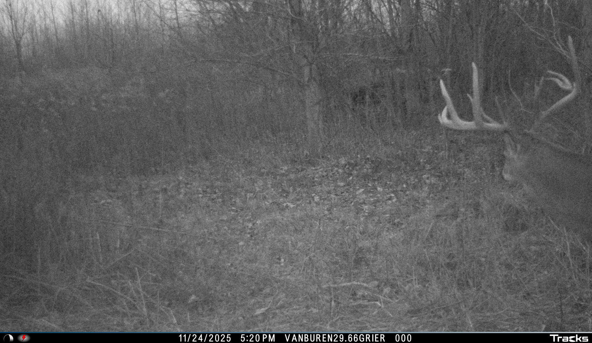 Vl 32nd Avenue Covert, MI 49043 - Photo 42 of 49 I__00115