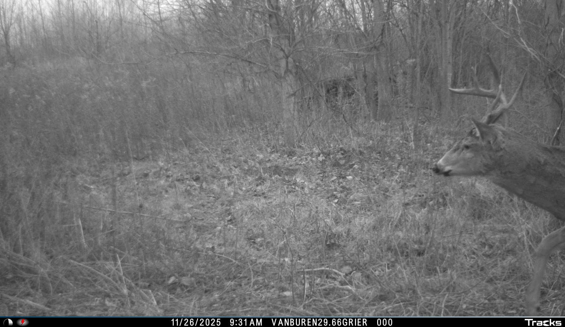 Vl 32nd Avenue Covert, MI 49043 - Photo 43 of 49 I__00121