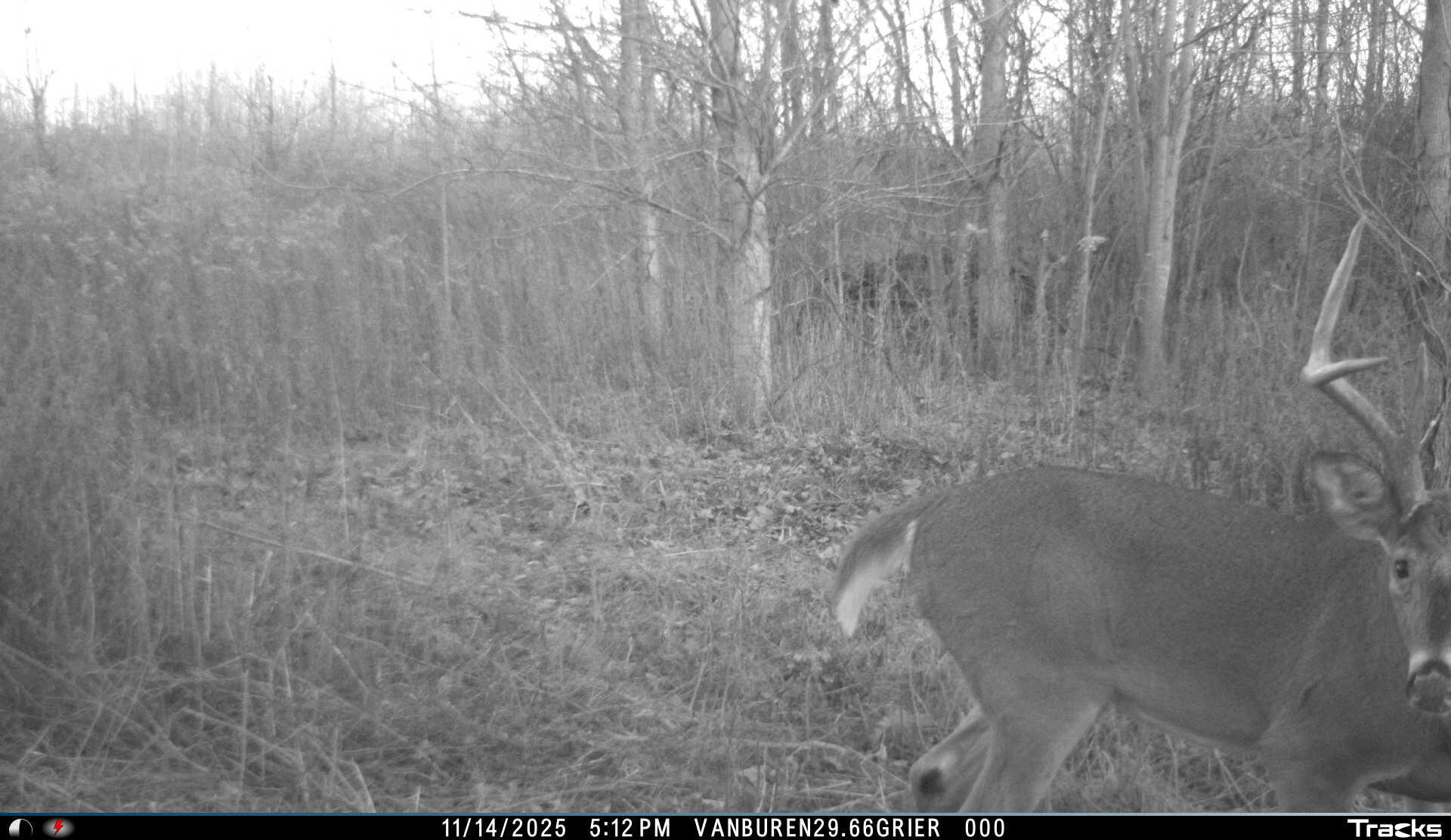 Vl 32nd Avenue Covert, MI 49043 - Photo 44 of 49 1