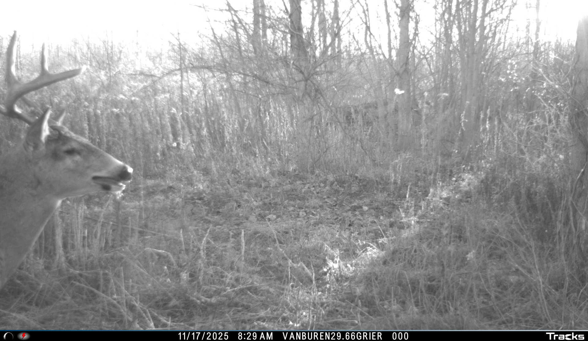 Vl 32nd Avenue Covert, MI 49043 - Photo 45 of 49 3 (1)