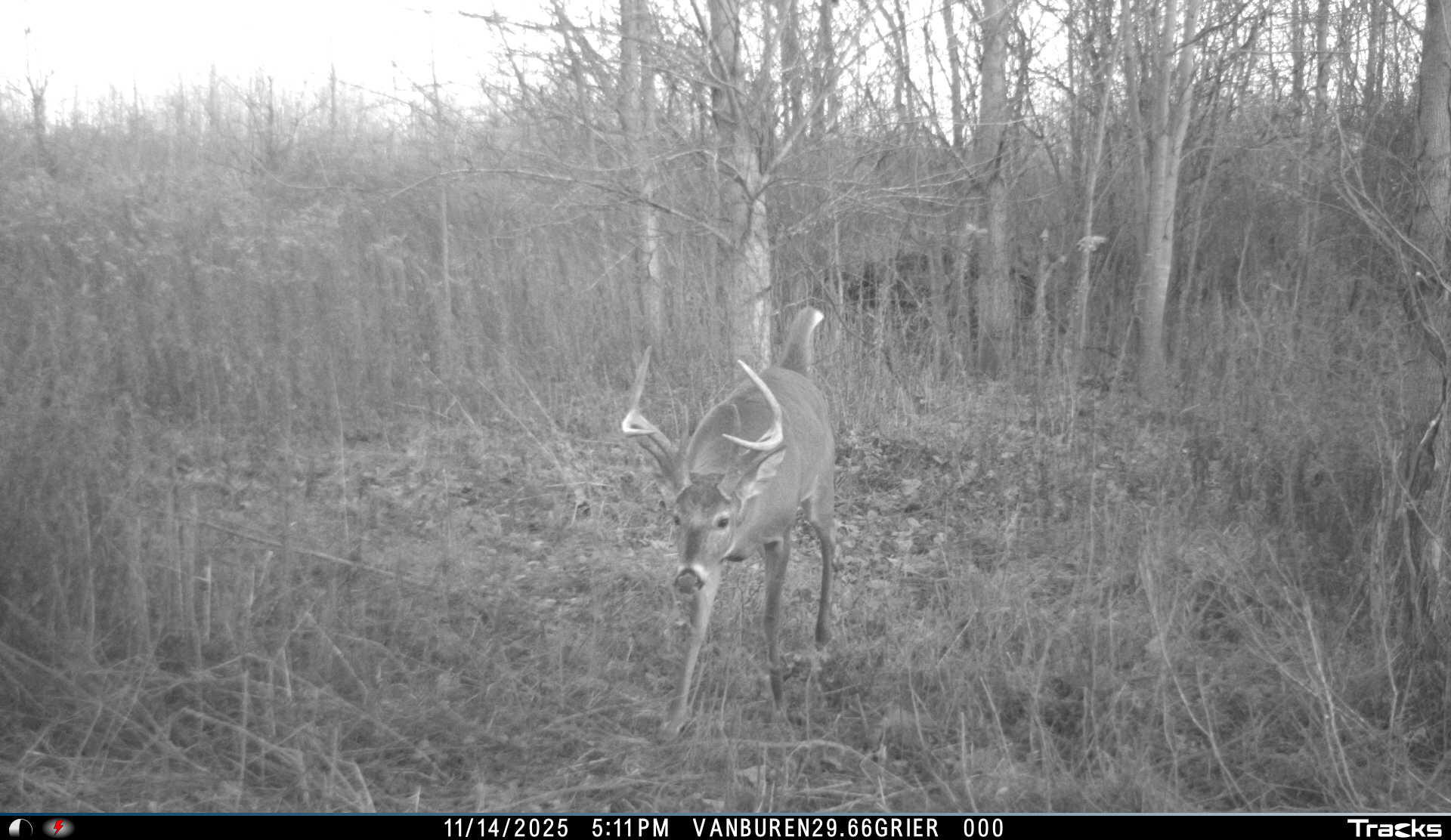 Vl 32nd Avenue Covert, MI 49043 - Photo 46 of 49 3