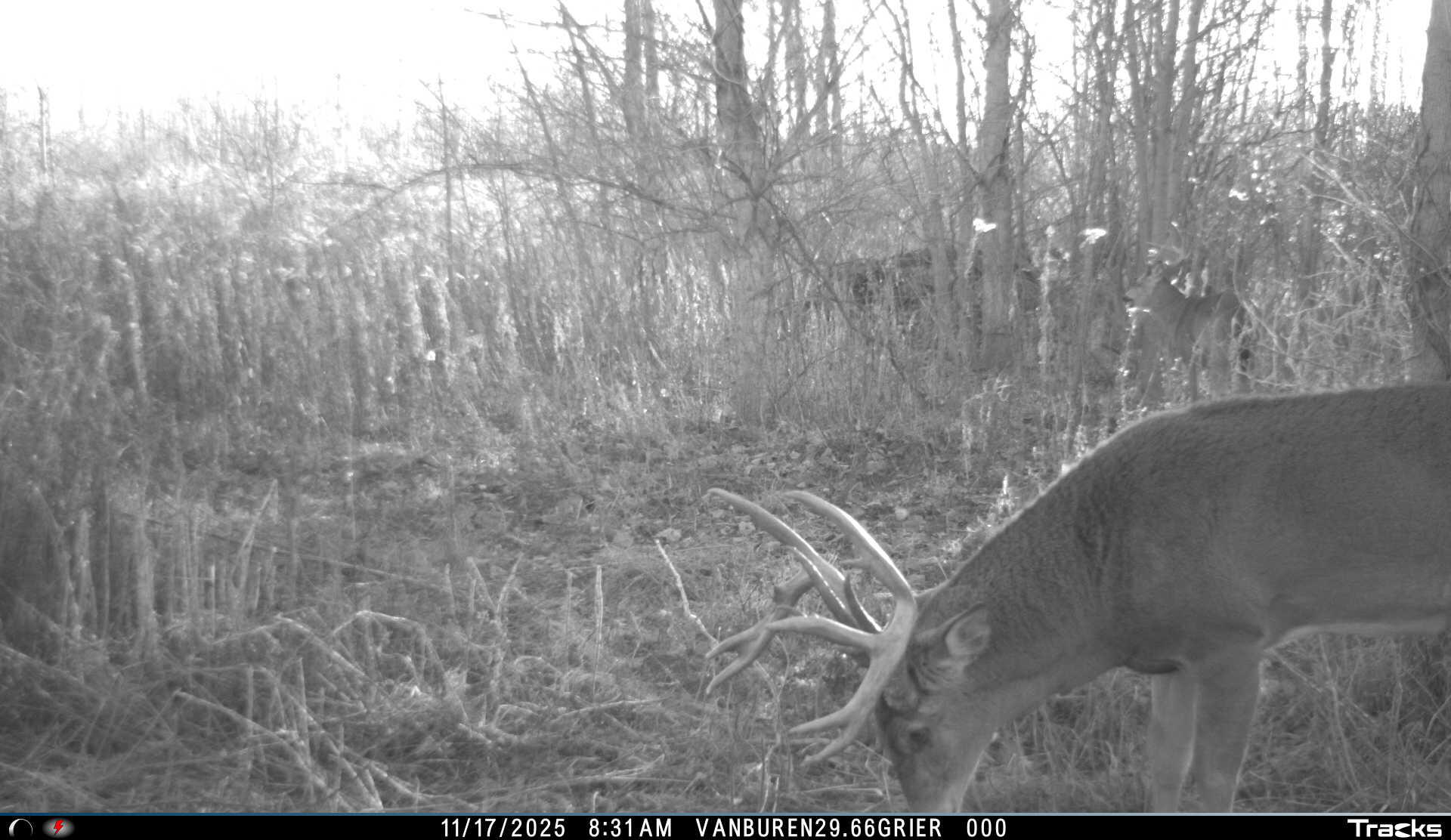 Vl 32nd Avenue Covert, MI 49043 - Photo 49 of 49 Giant