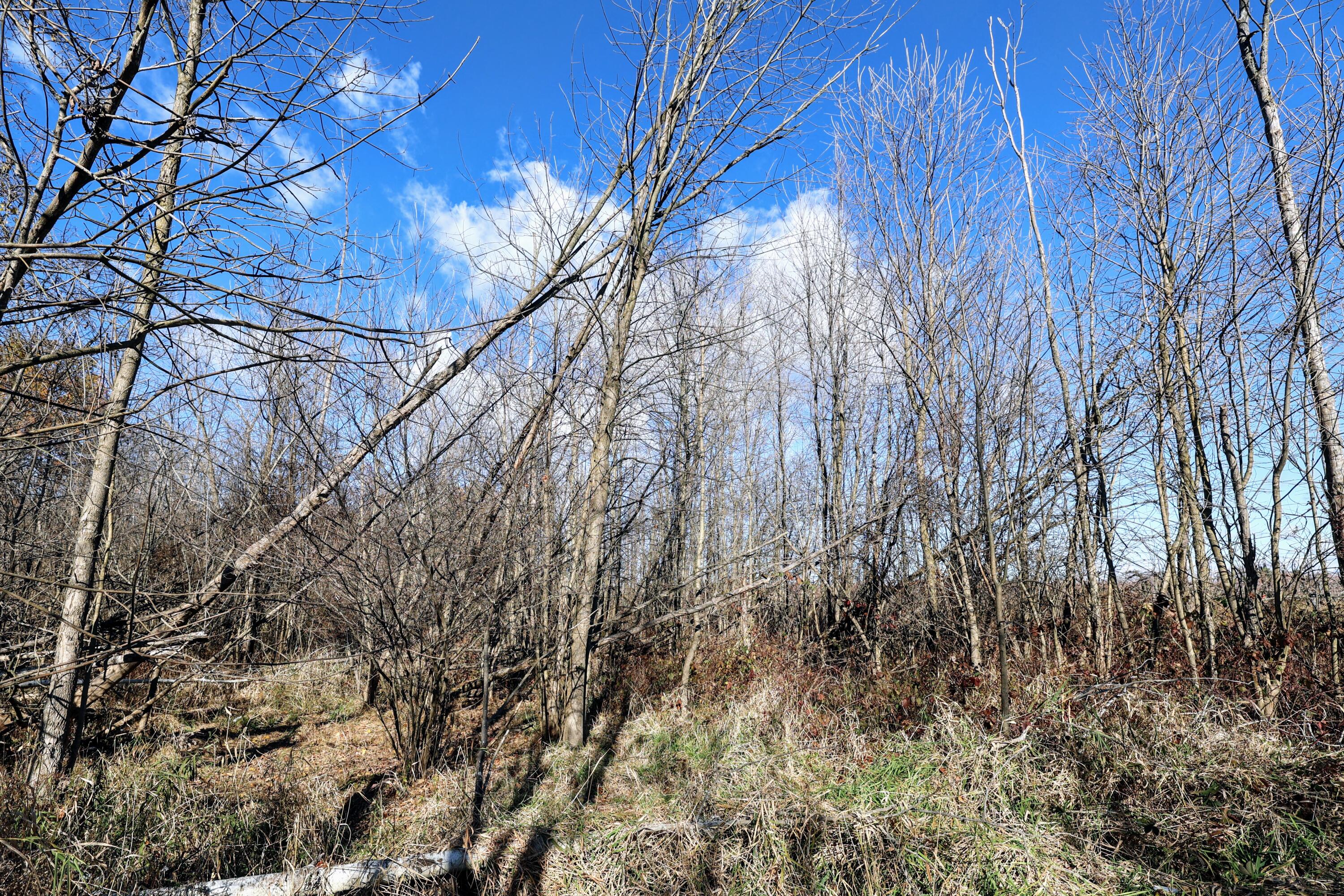 Vl 32nd Avenue Covert, MI 49043 - Photo 6 of 49 6